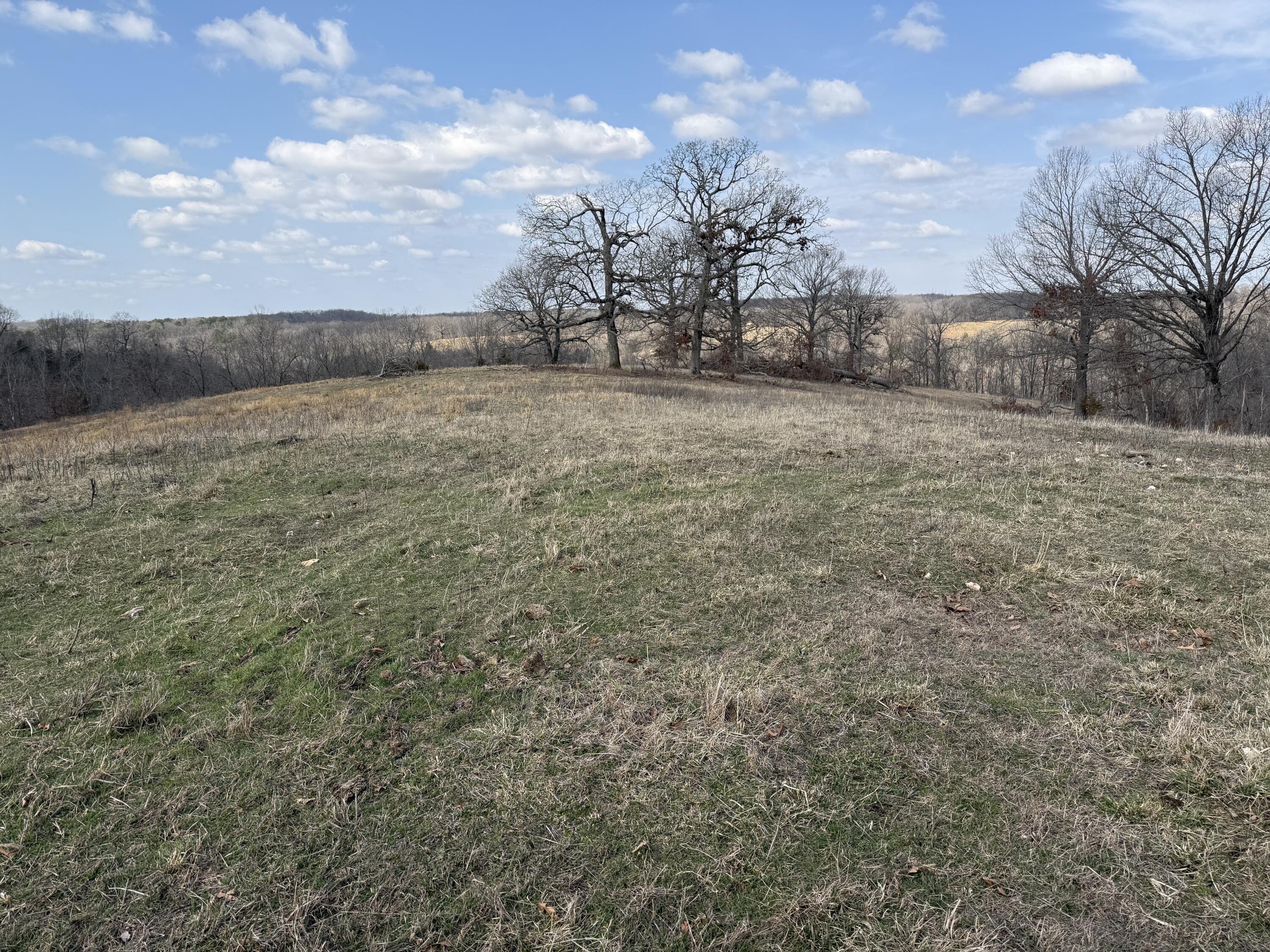 1006 Skaggs Hollow Road Property Photo 31