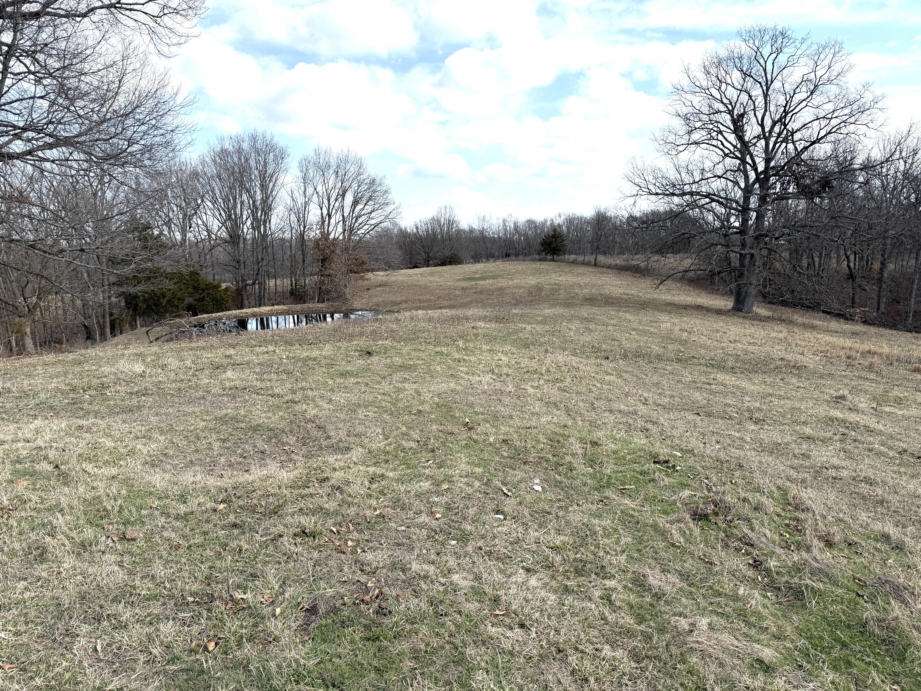 1006 Skaggs Hollow Road Property Photo 32