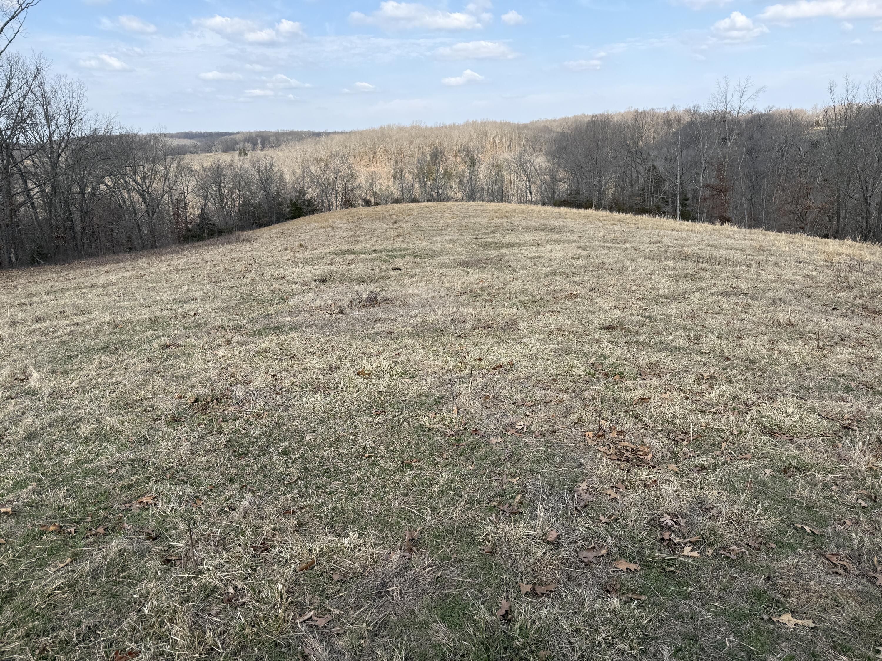 1006 Skaggs Hollow Road Property Photo 33