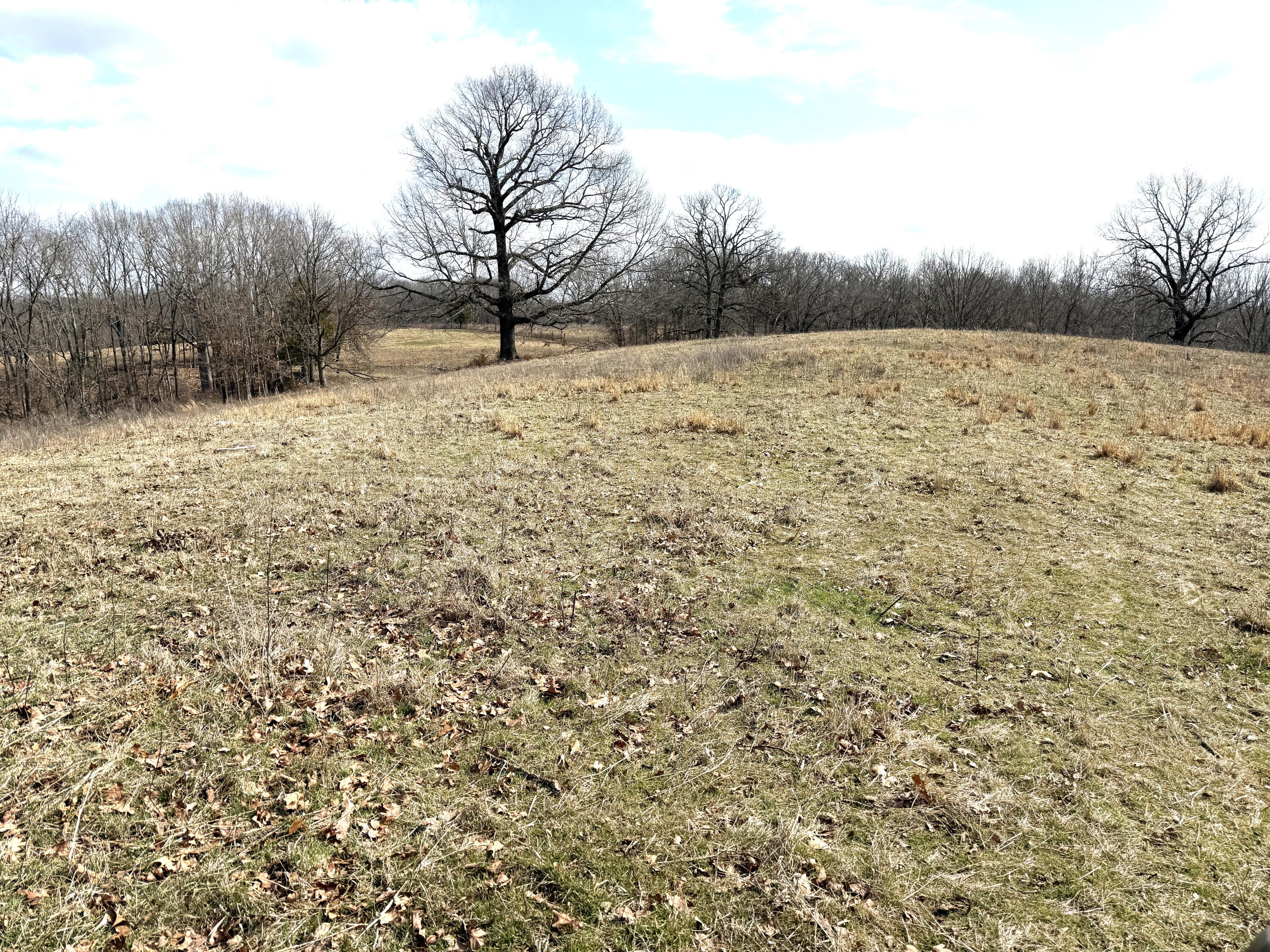 1006 Skaggs Hollow Road Property Photo 35