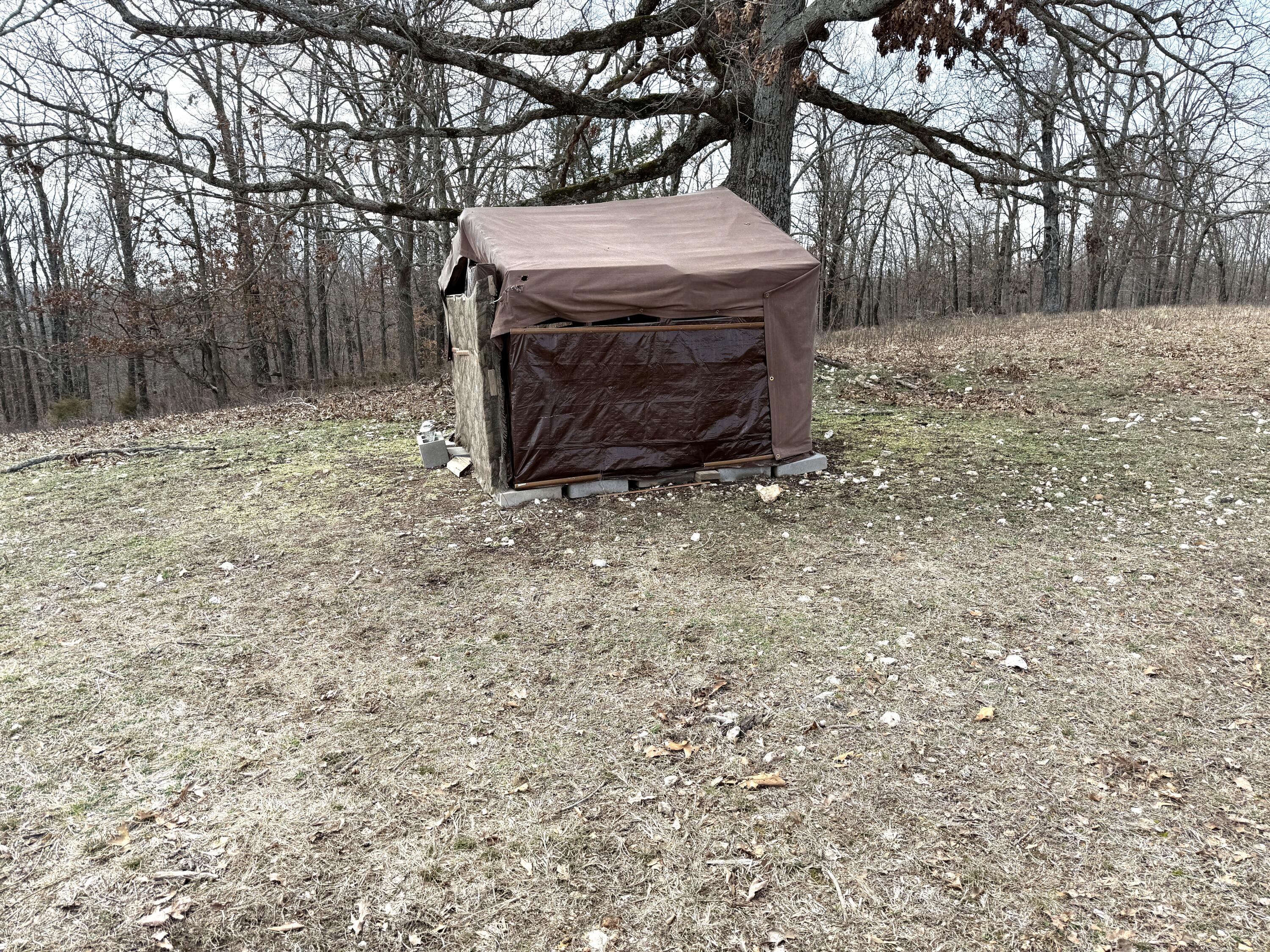 1006 Skaggs Hollow Road Property Photo 36