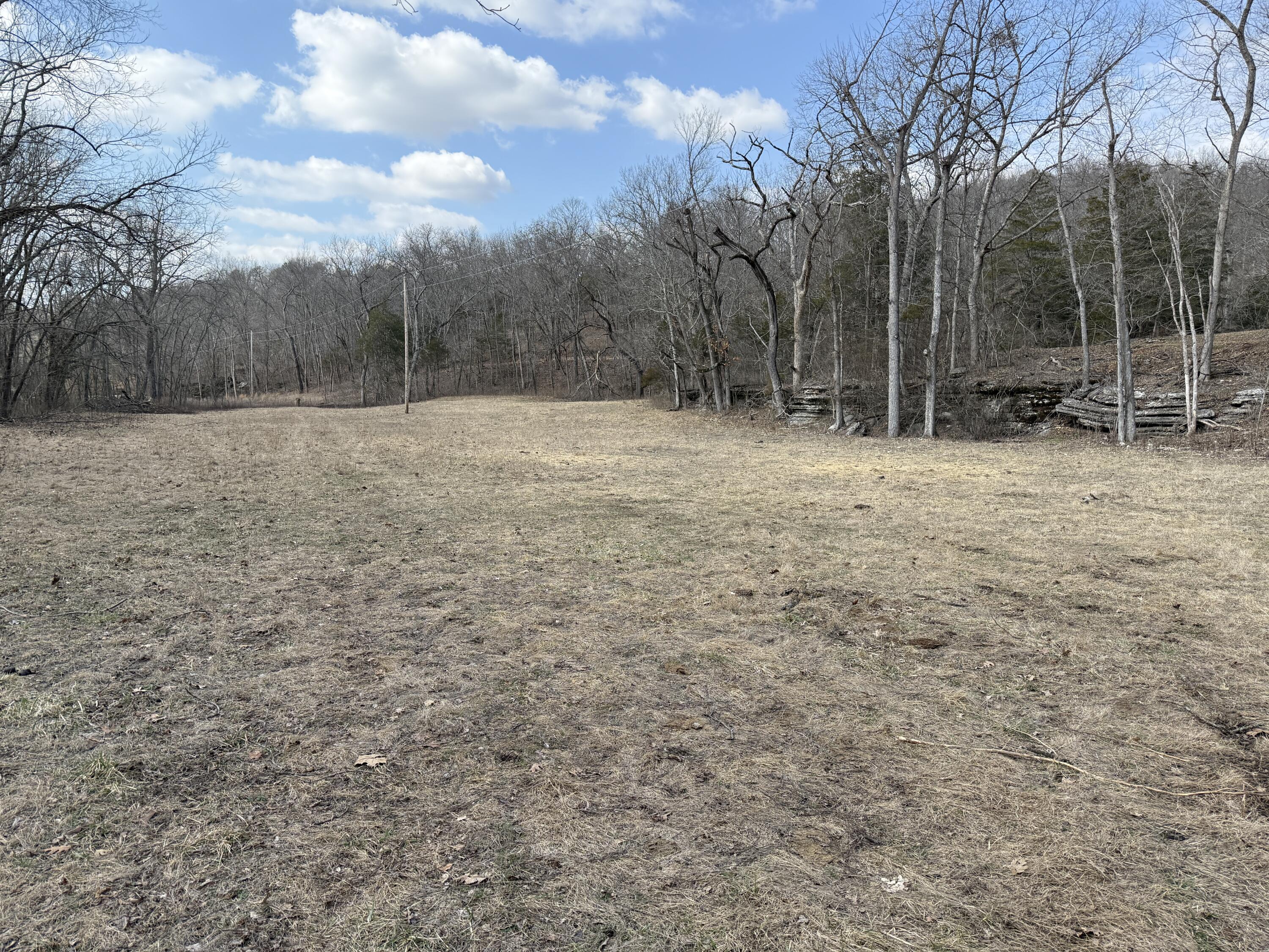 1006 Skaggs Hollow Road Property Photo 38