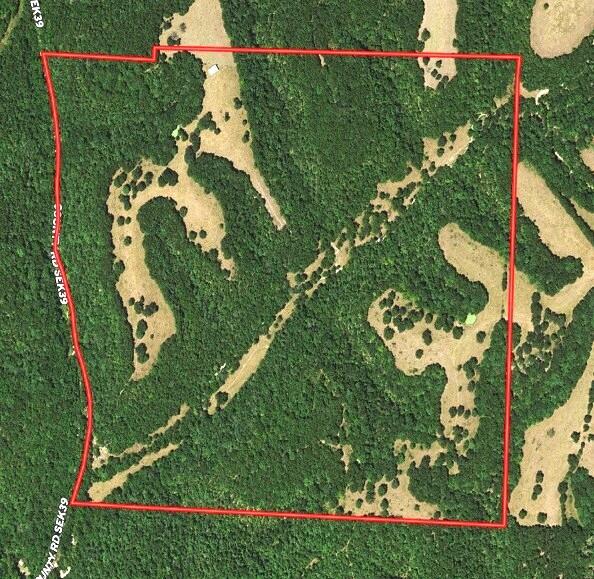 1006 Skaggs Hollow Road Property Photo 40