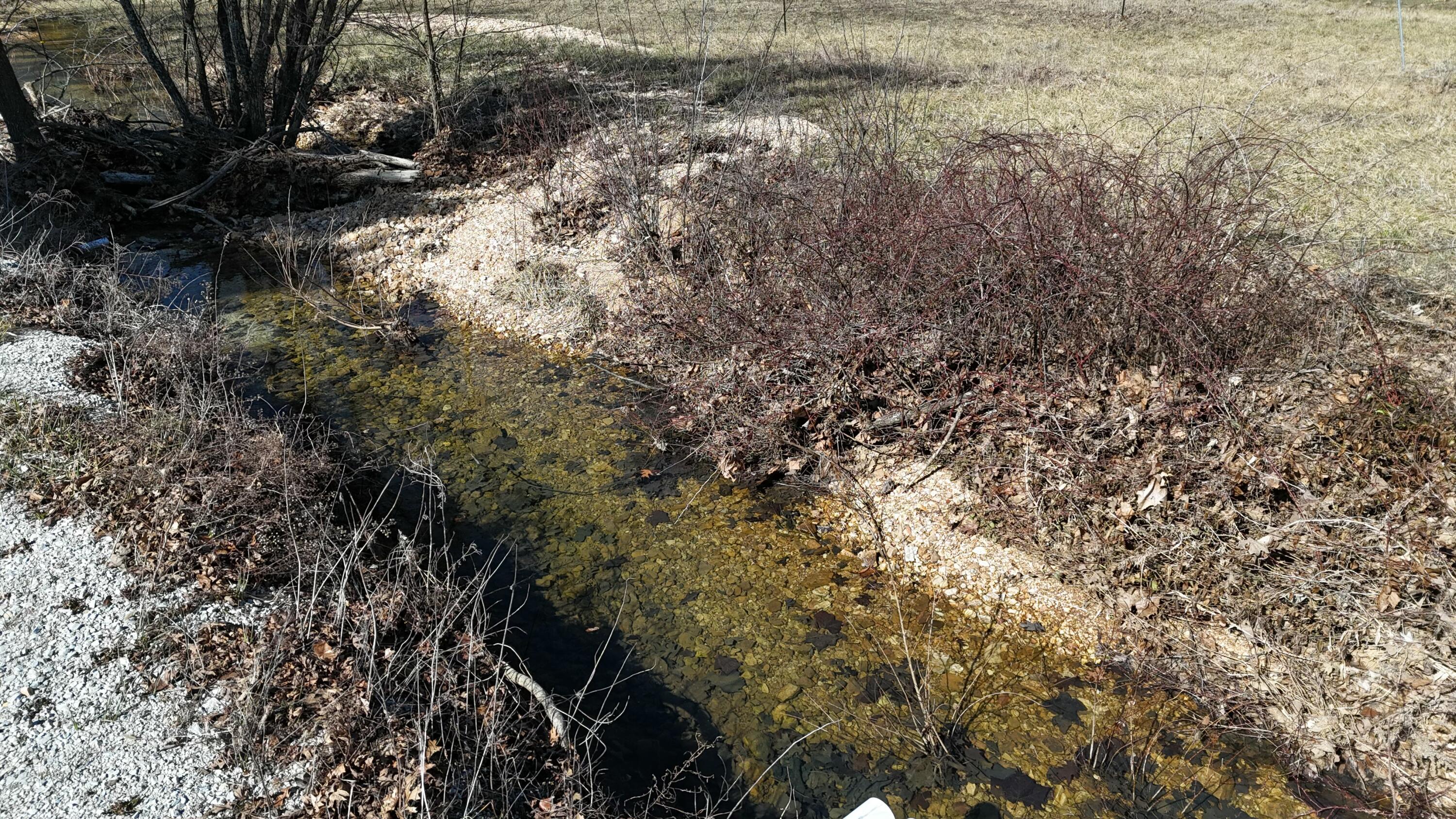 12288 State Highway Ee Property Photo 26