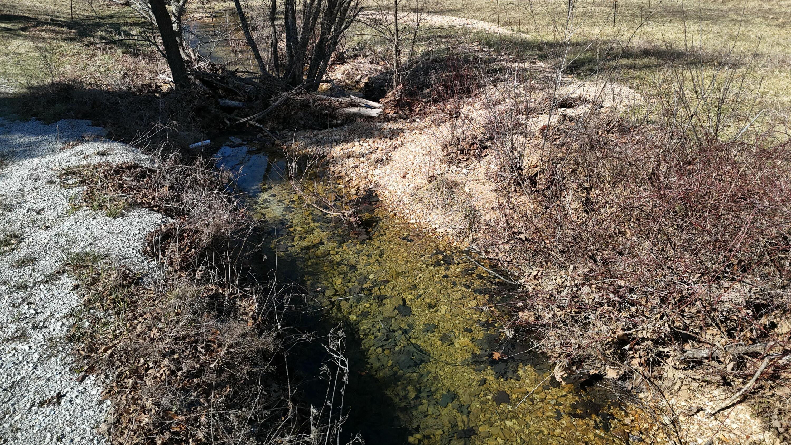 12288 State Highway Ee Property Photo 27