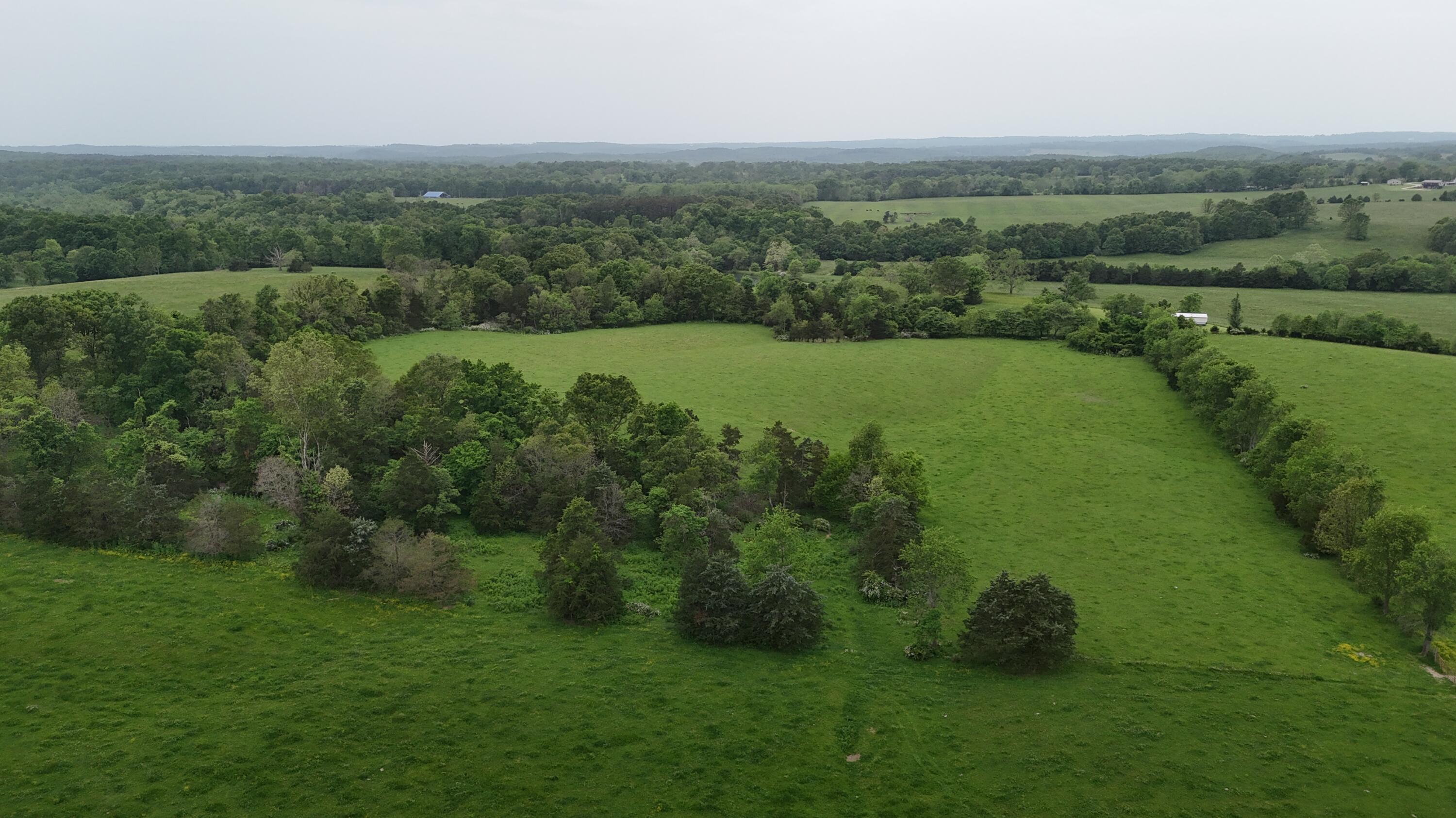 12288 State Highway Ee Property Photo 31