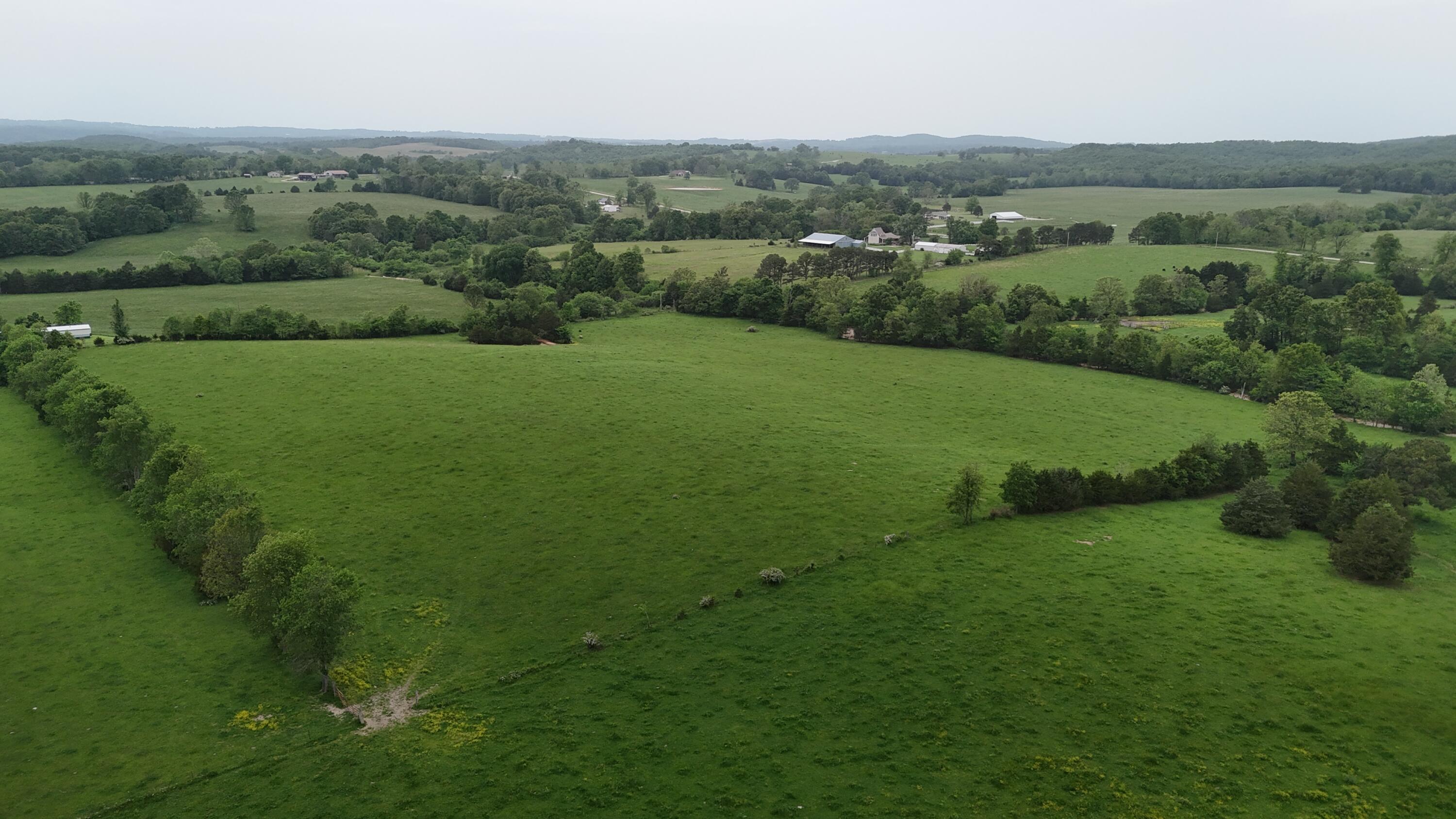 12288 State Highway Ee Property Photo 32