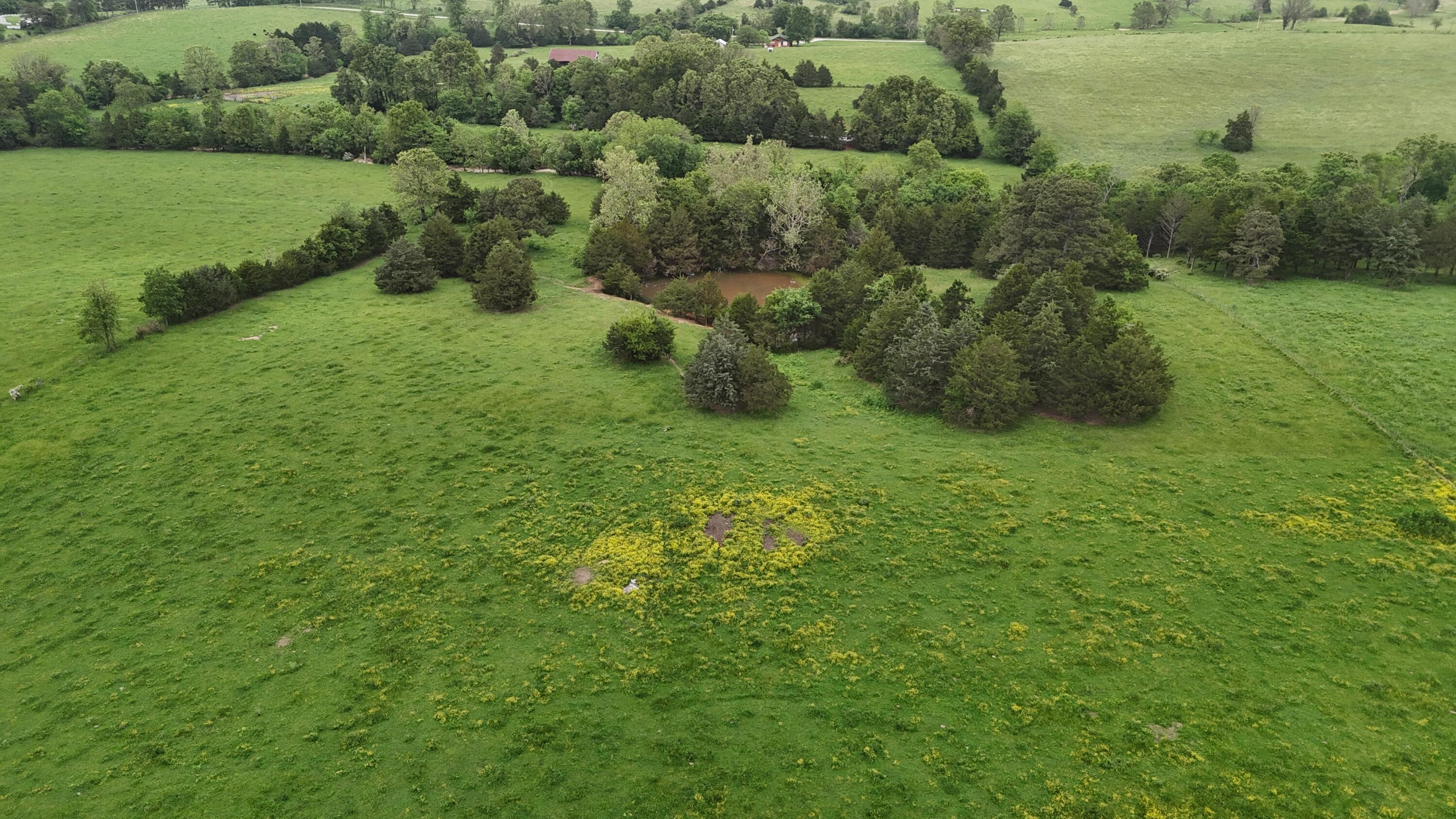 12288 State Highway Ee Property Photo 33