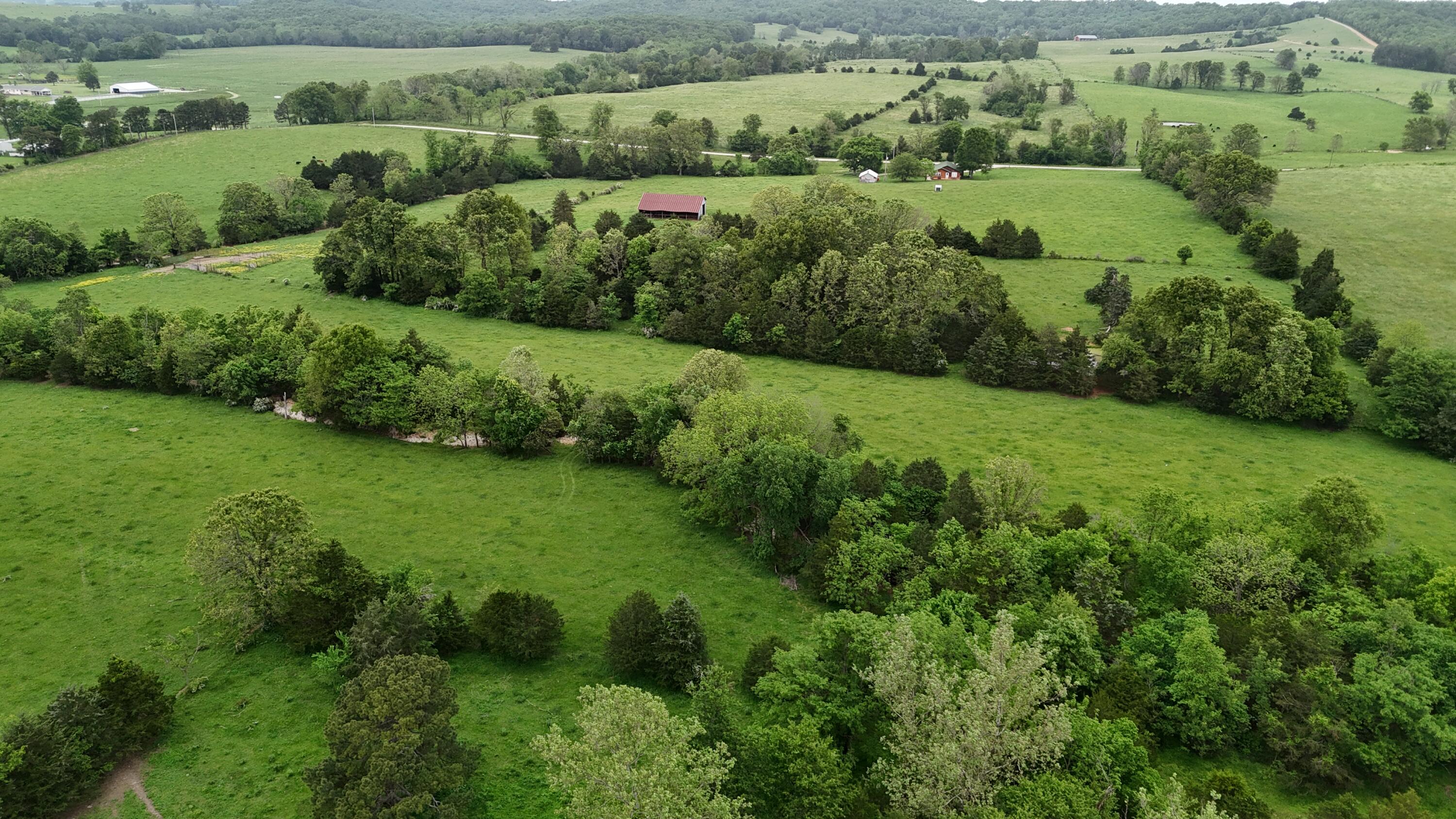 12288 State Highway Ee Property Photo 34