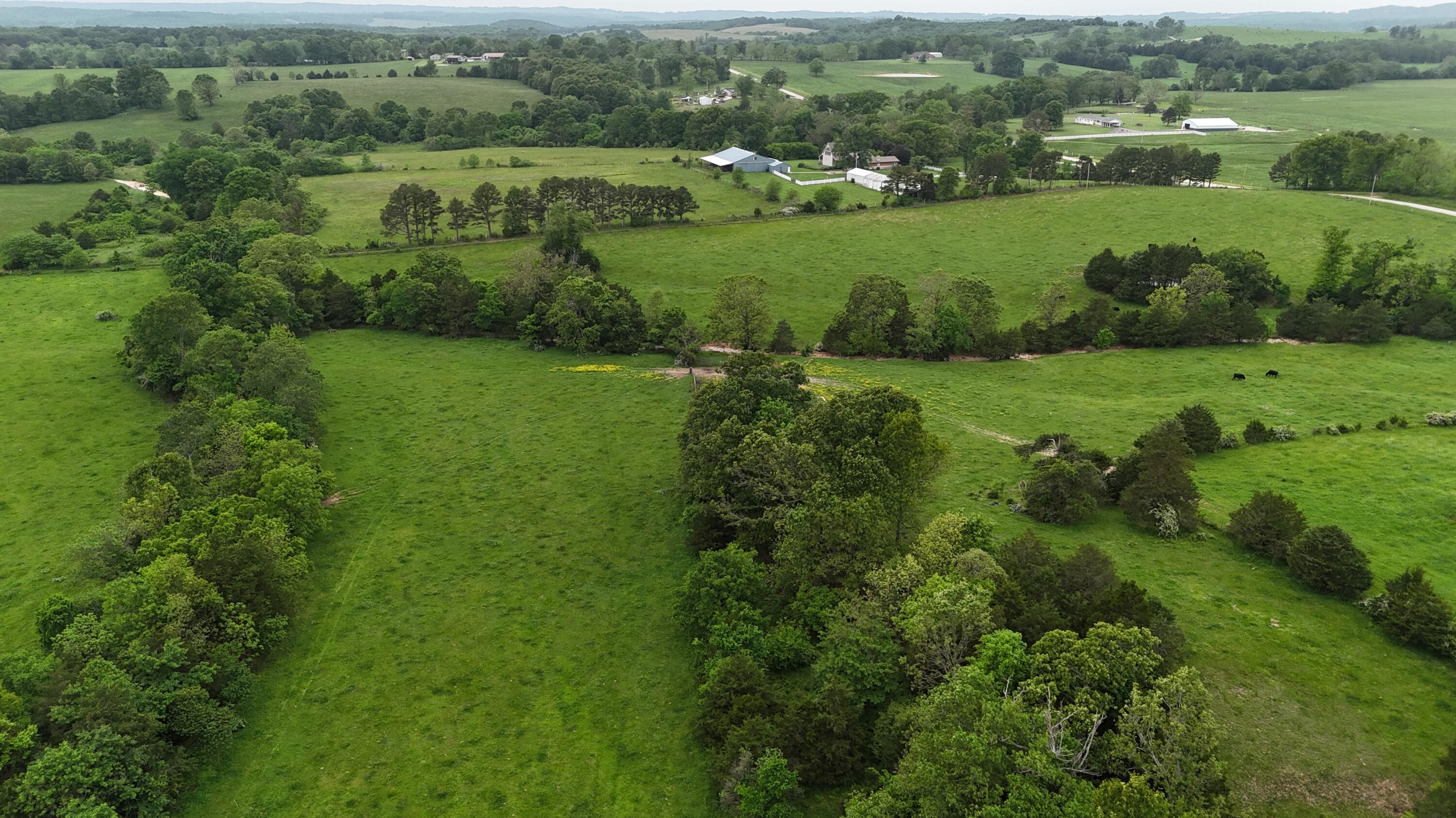 12288 State Highway Ee Property Photo 37