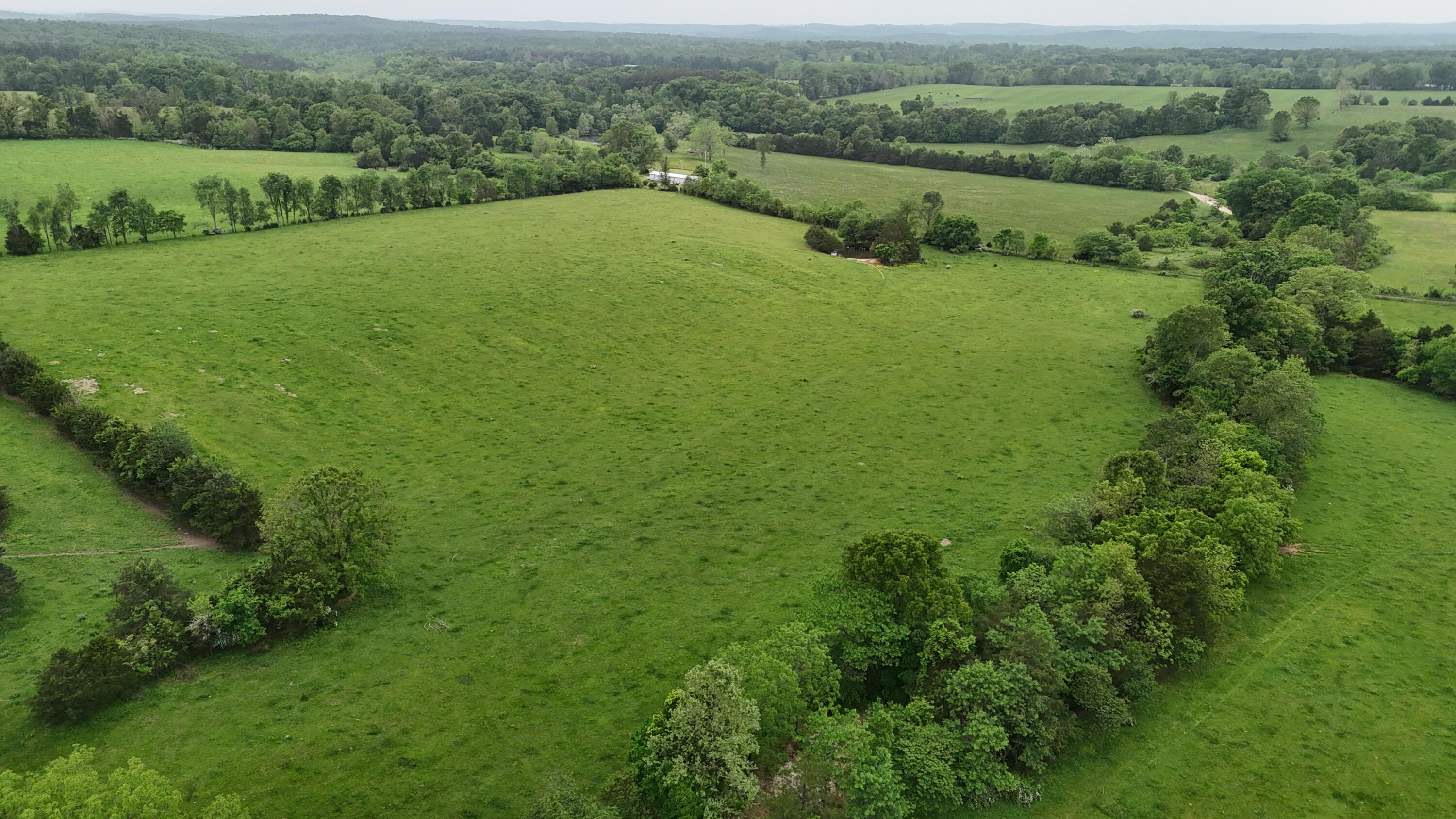 12288 State Highway Ee Property Photo 38
