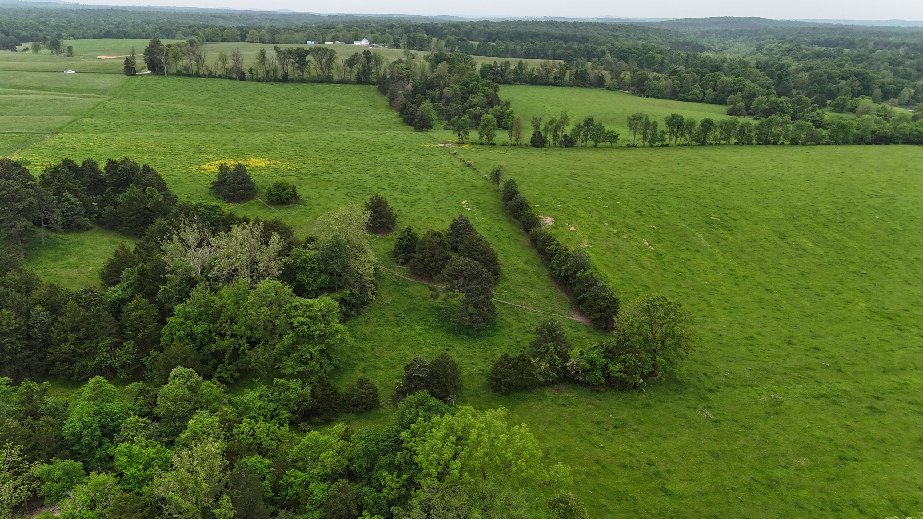 12288 State Highway Ee Property Photo 39