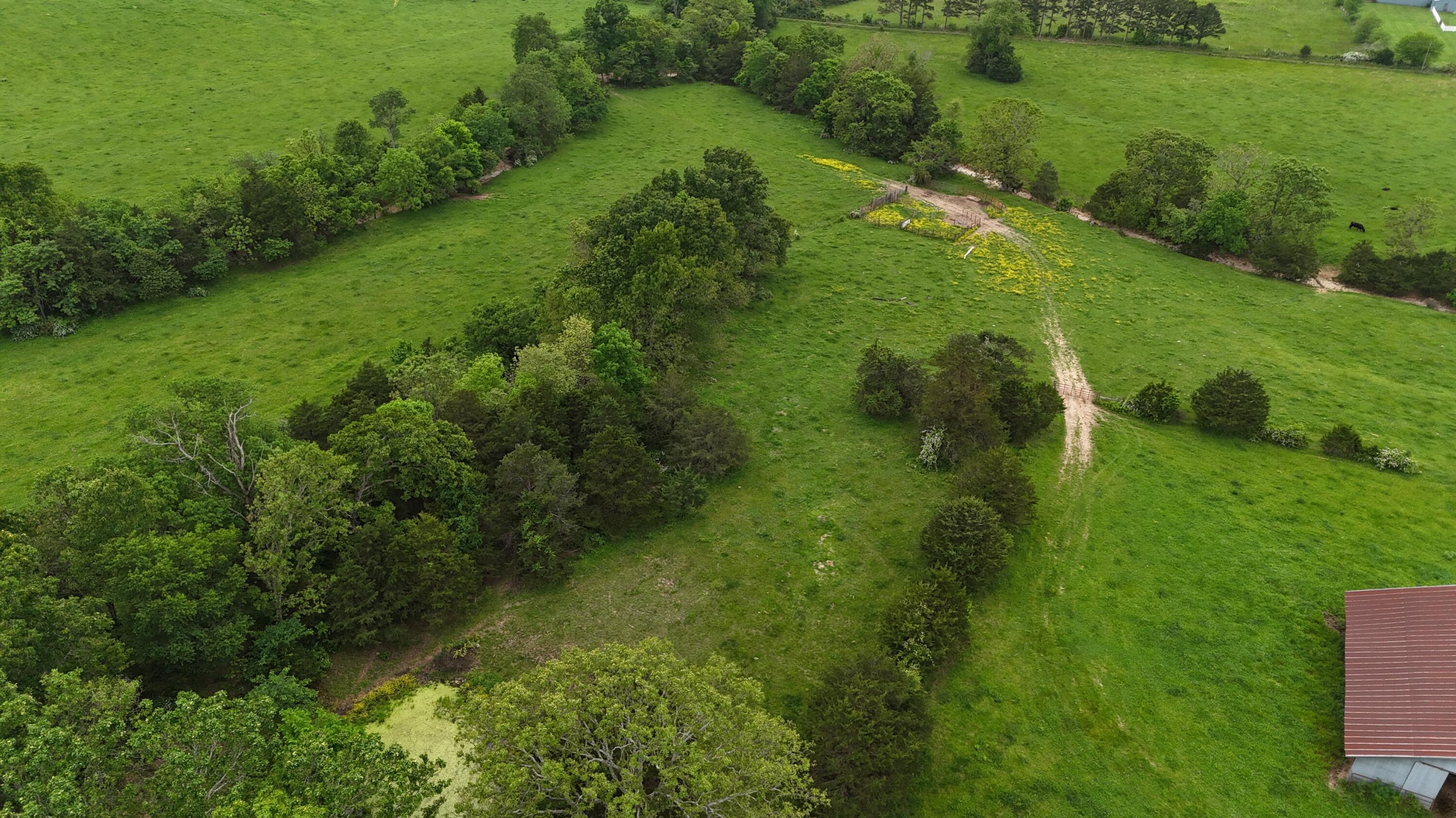 12288 State Highway Ee Property Photo 41