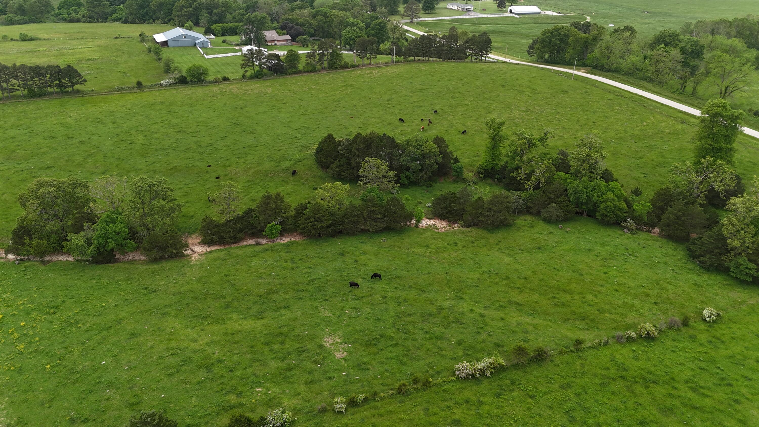 12288 State Highway Ee Property Photo 42