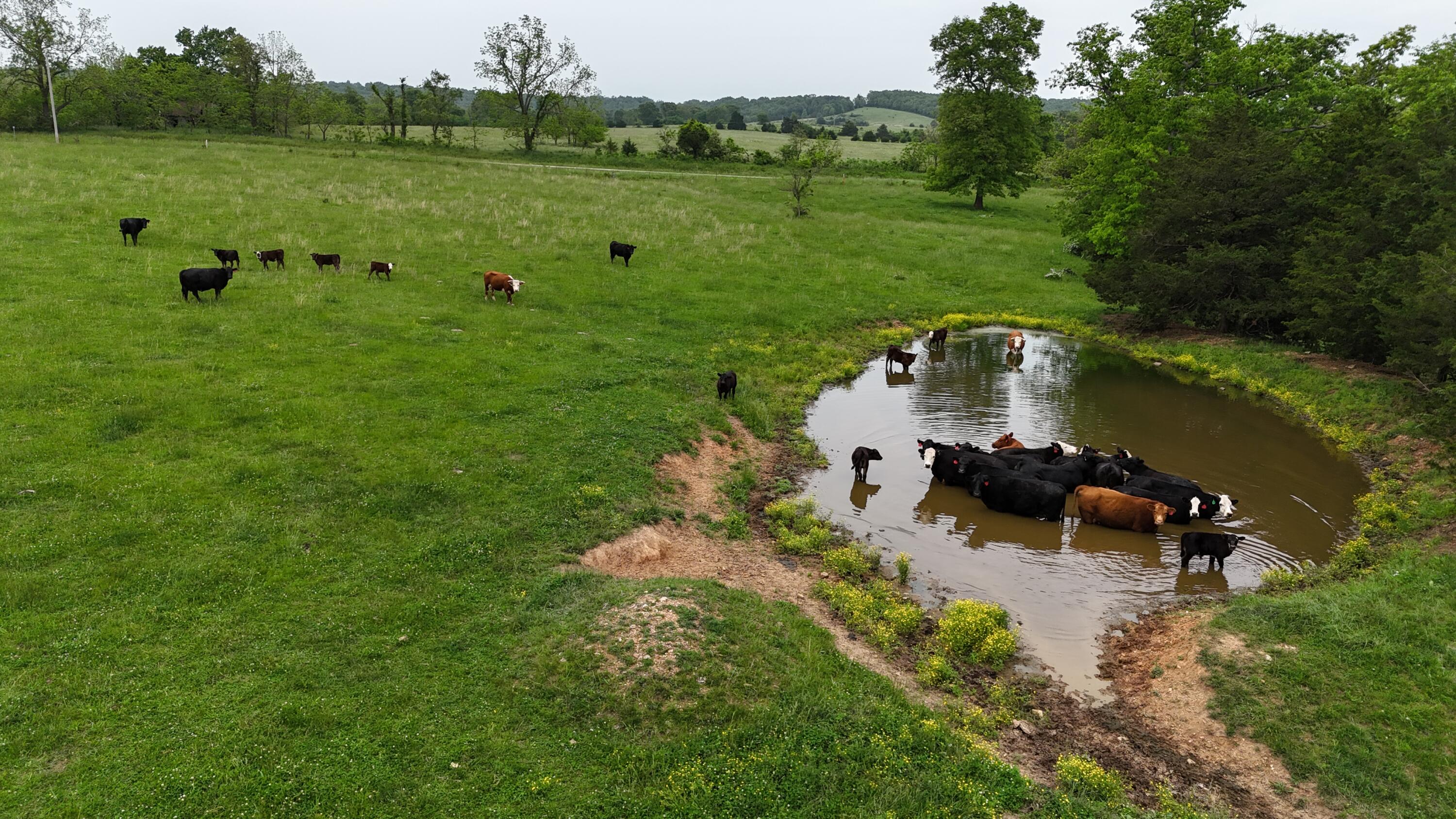 12288 State Highway Ee Property Photo 43