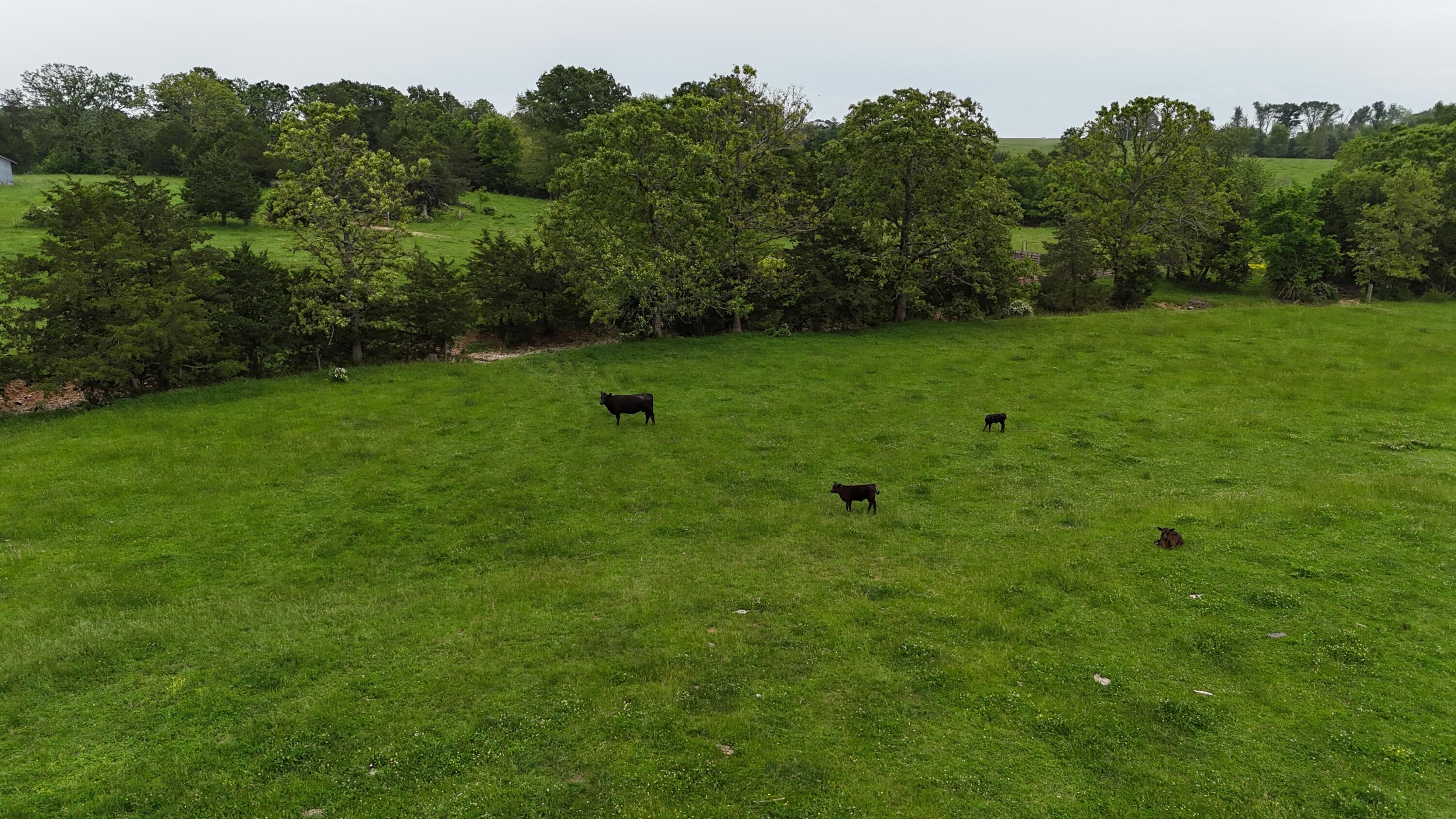 12288 State Highway Ee Property Photo 45