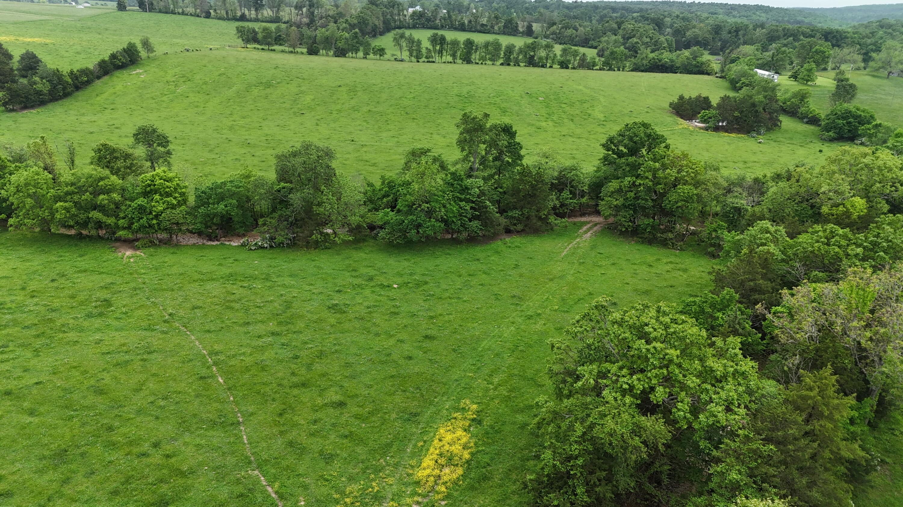 12288 State Highway Ee Property Photo 46
