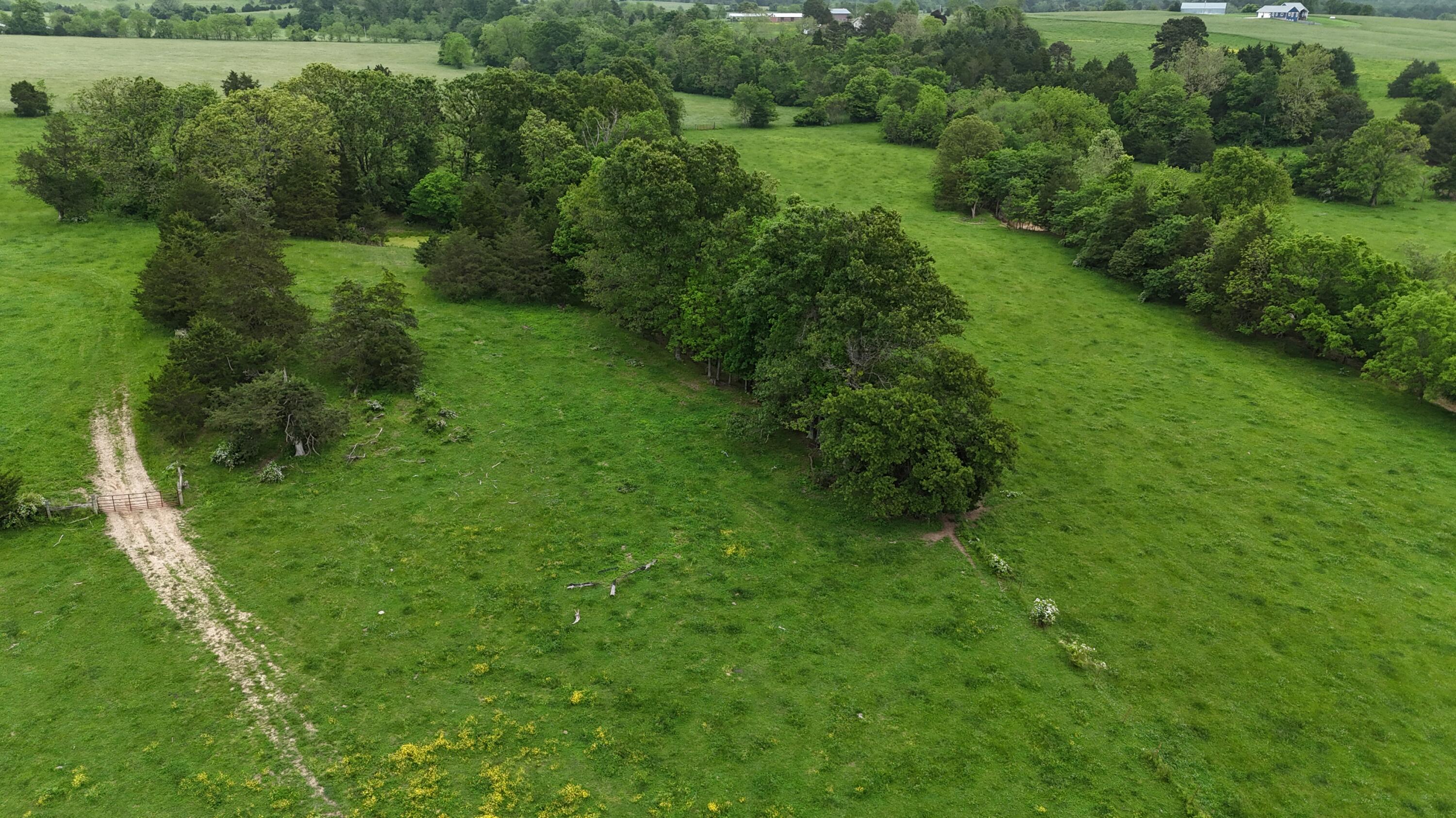 12288 State Highway Ee Property Photo 47