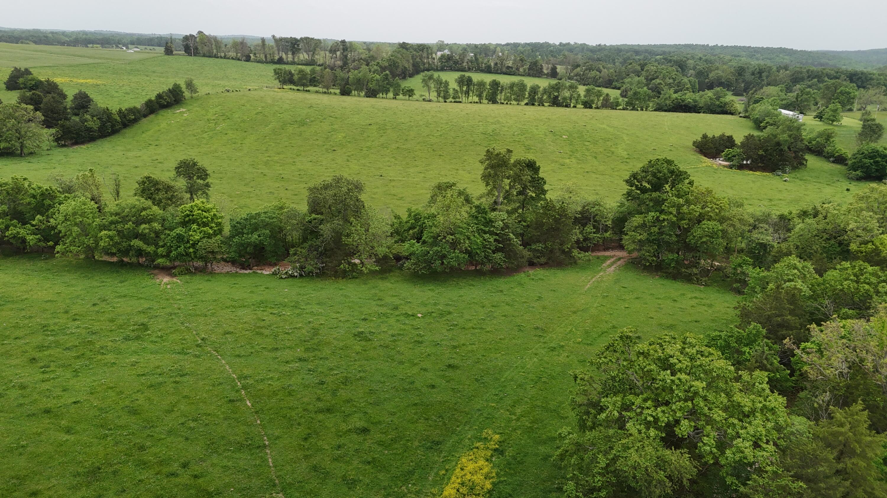 12288 State Highway Ee Property Photo 48