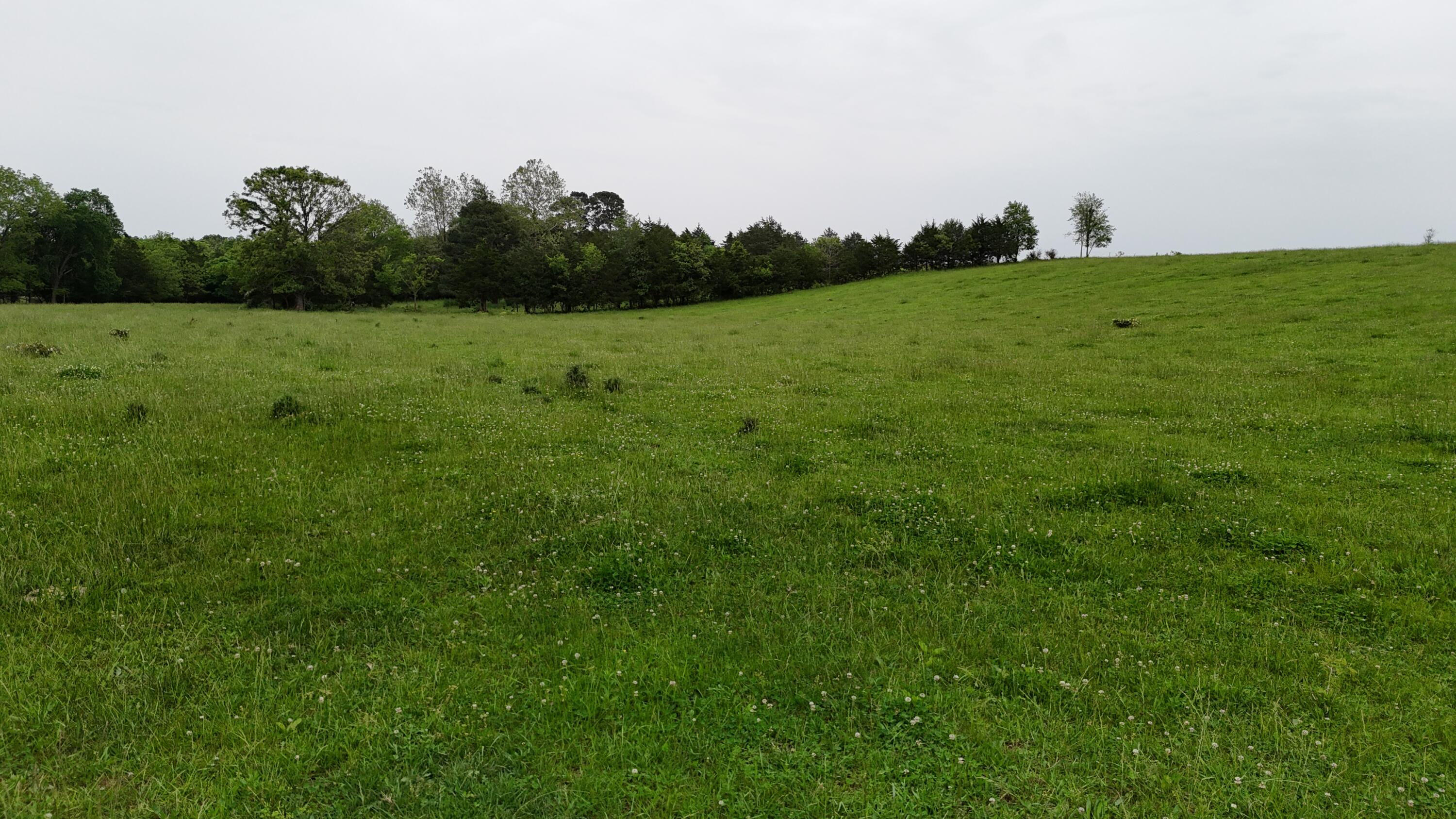 12288 State Highway Ee Property Photo 50