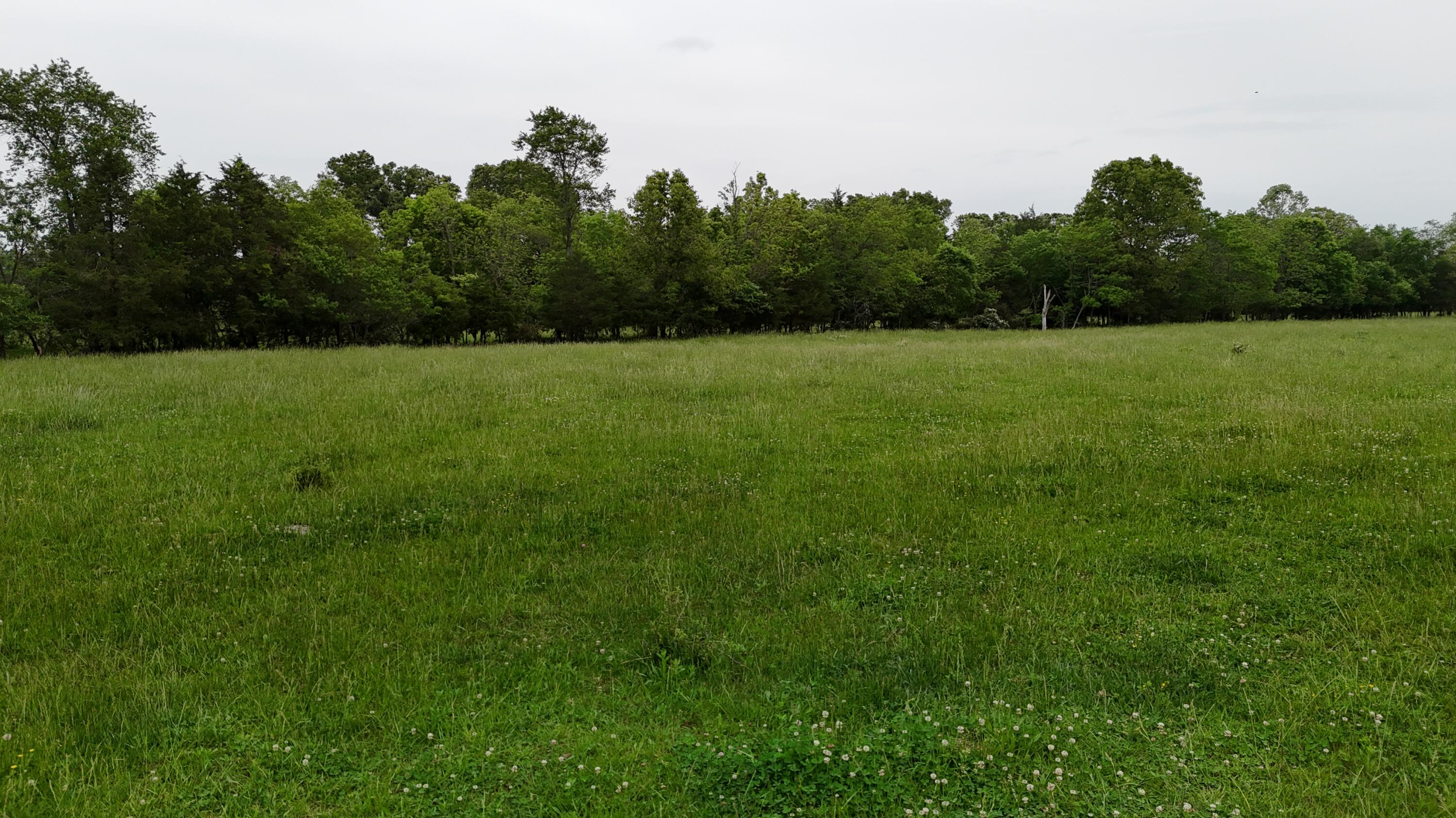 12288 State Highway Ee Property Photo 51
