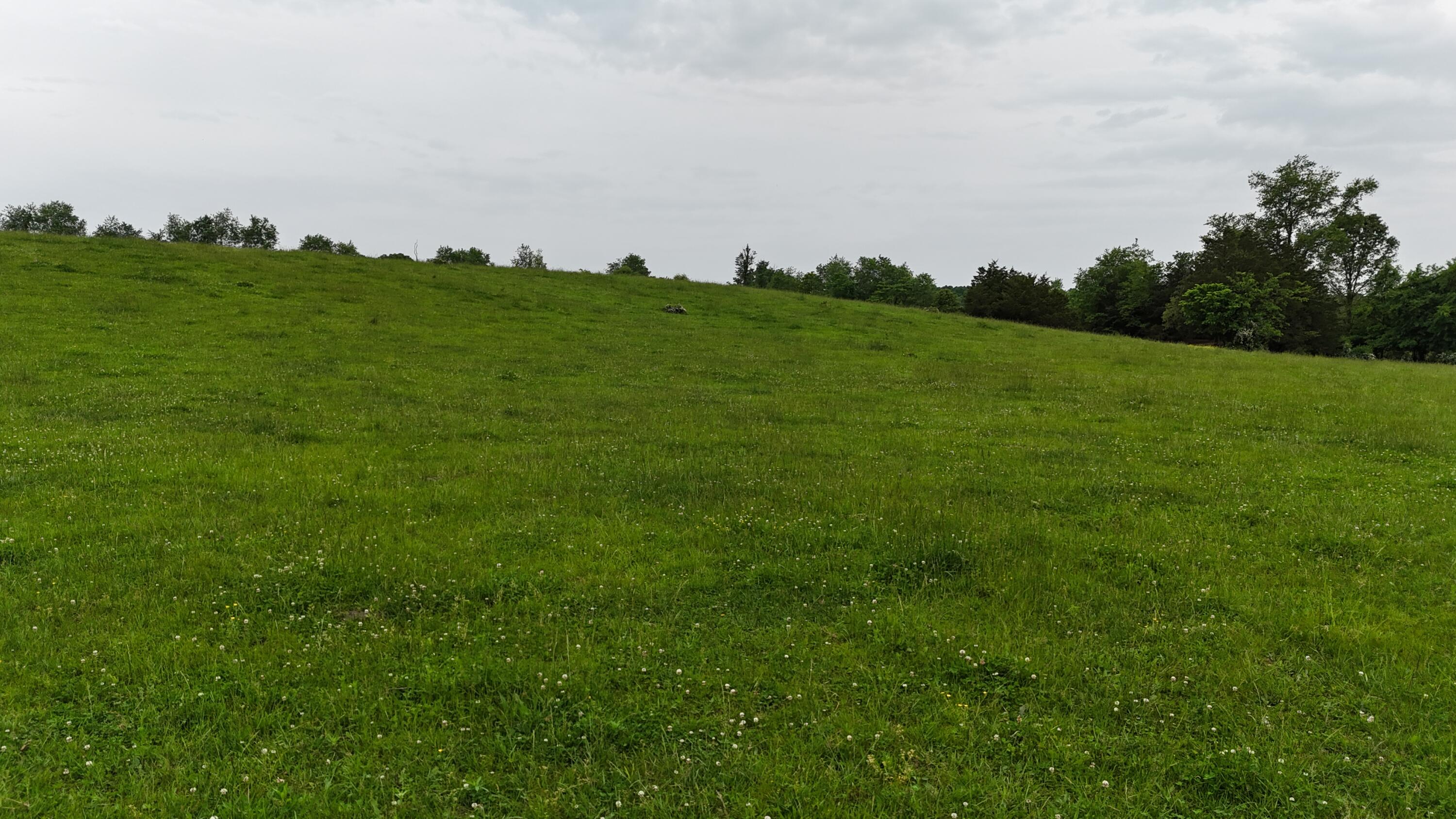 12288 State Highway Ee Property Photo 53