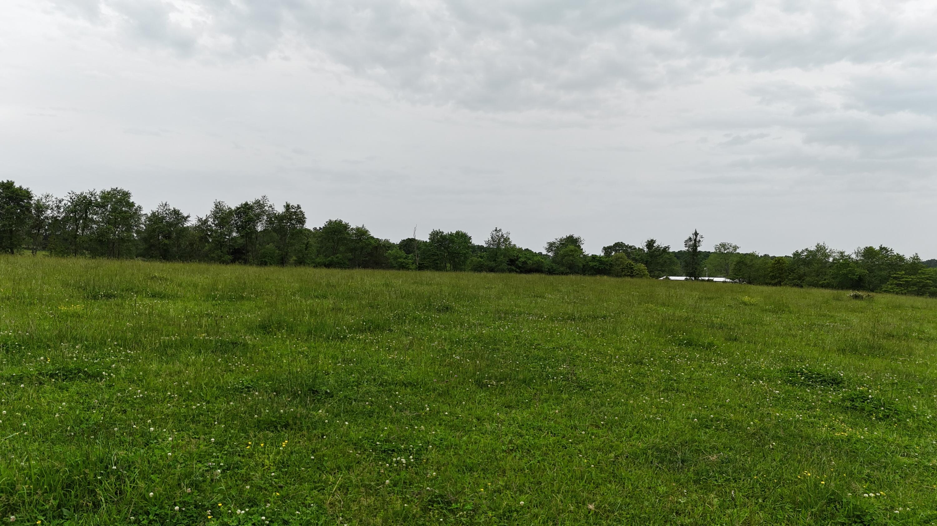 12288 State Highway Ee Property Photo 54