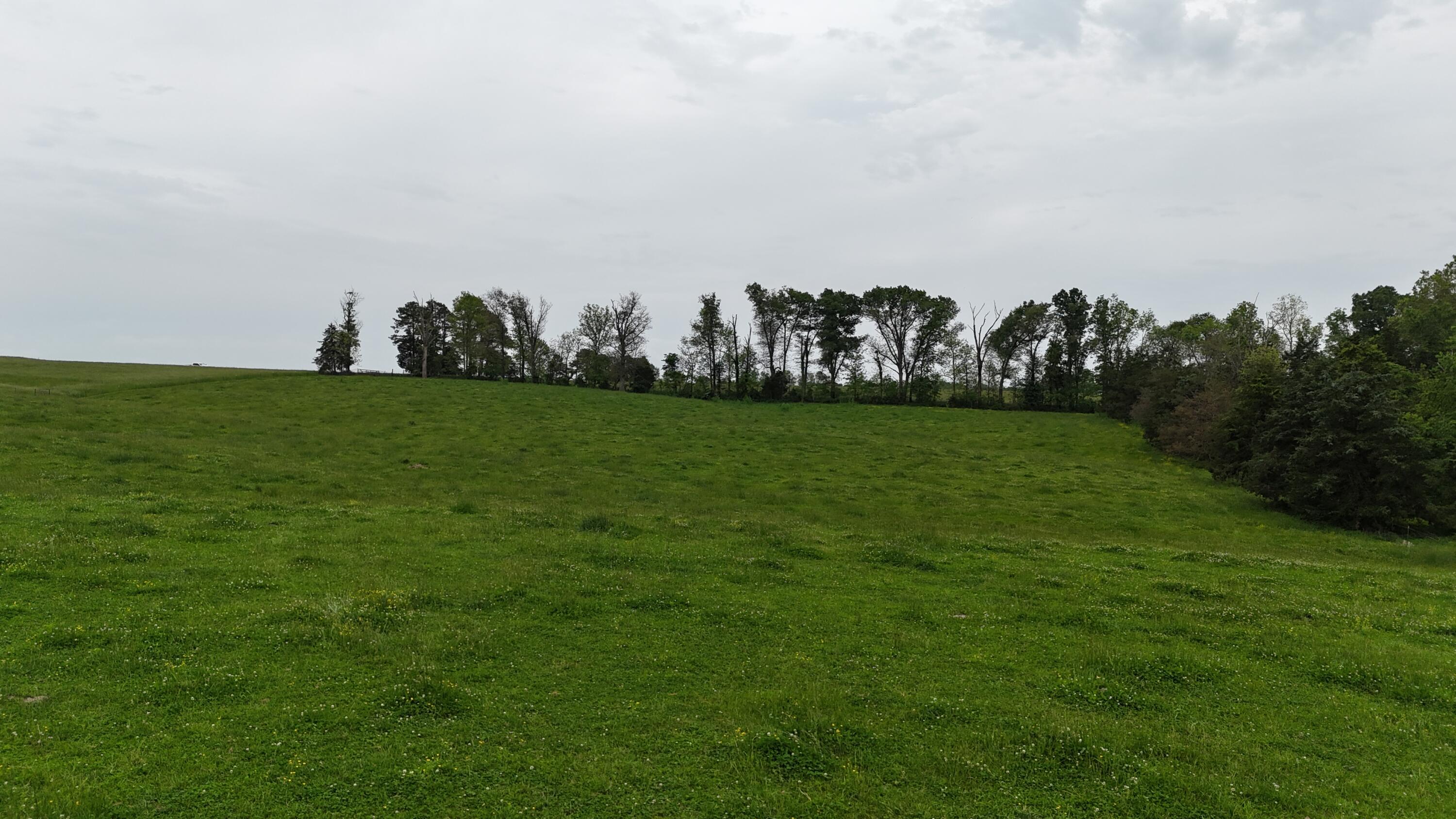 12288 State Highway Ee Property Photo 56