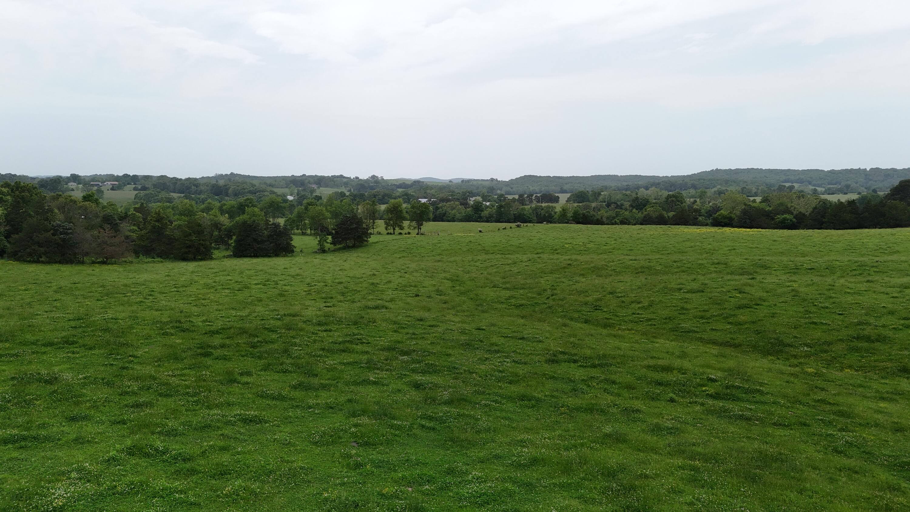 12288 State Highway Ee Property Photo 60