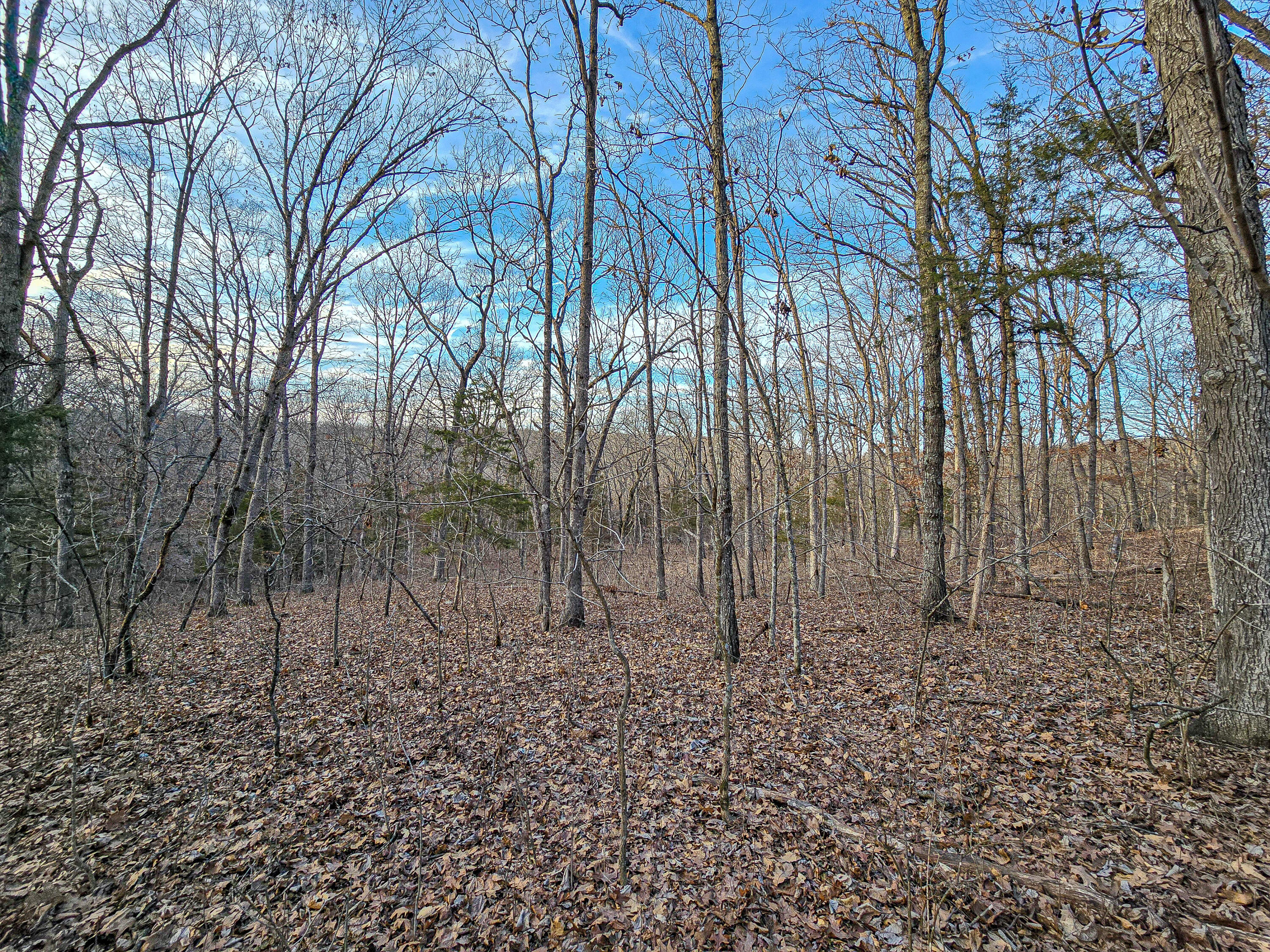000 County Road 405 Property Photo 1