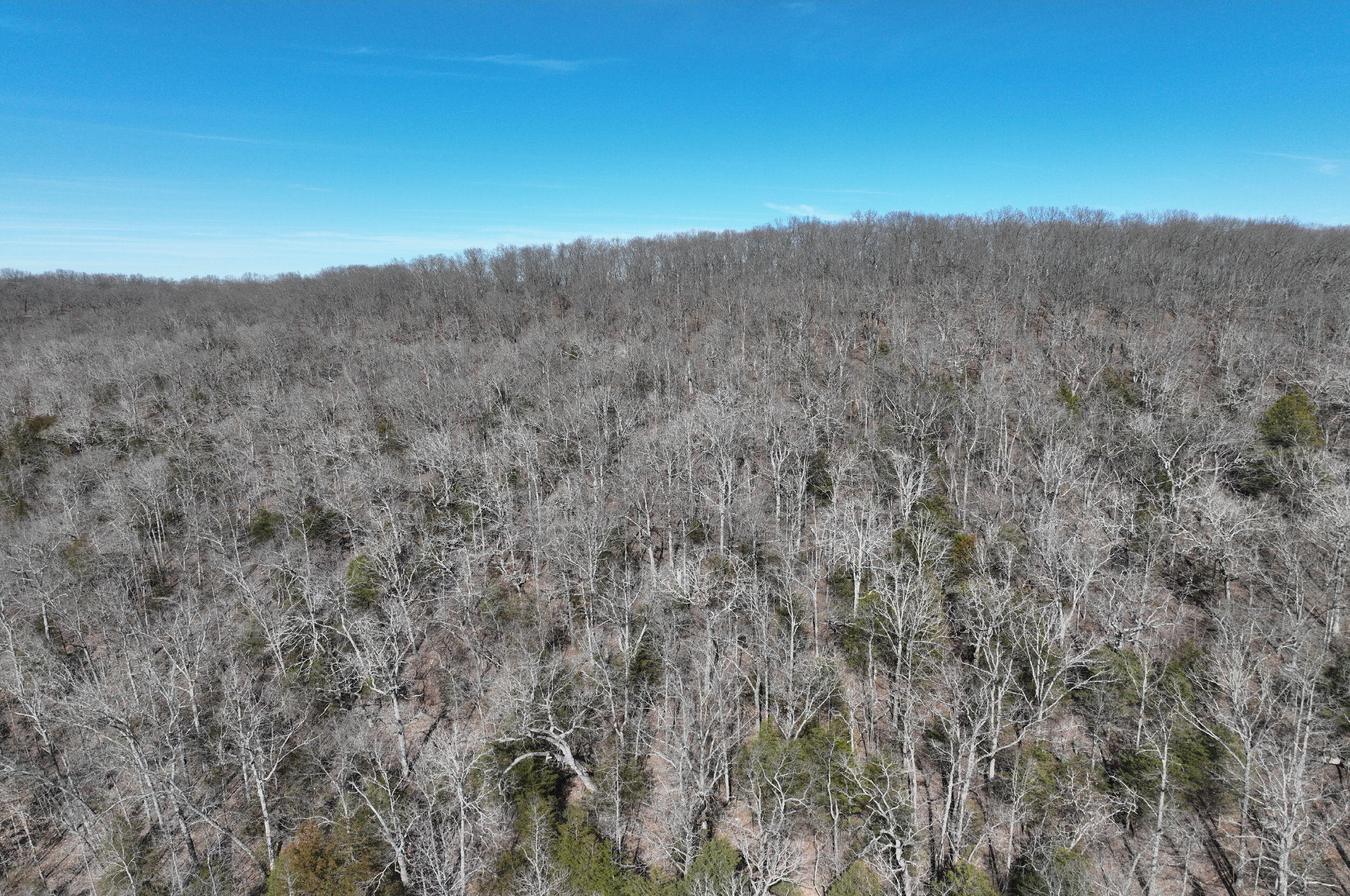 000 Tract 2 Dry Hollow Road Property Photo 4