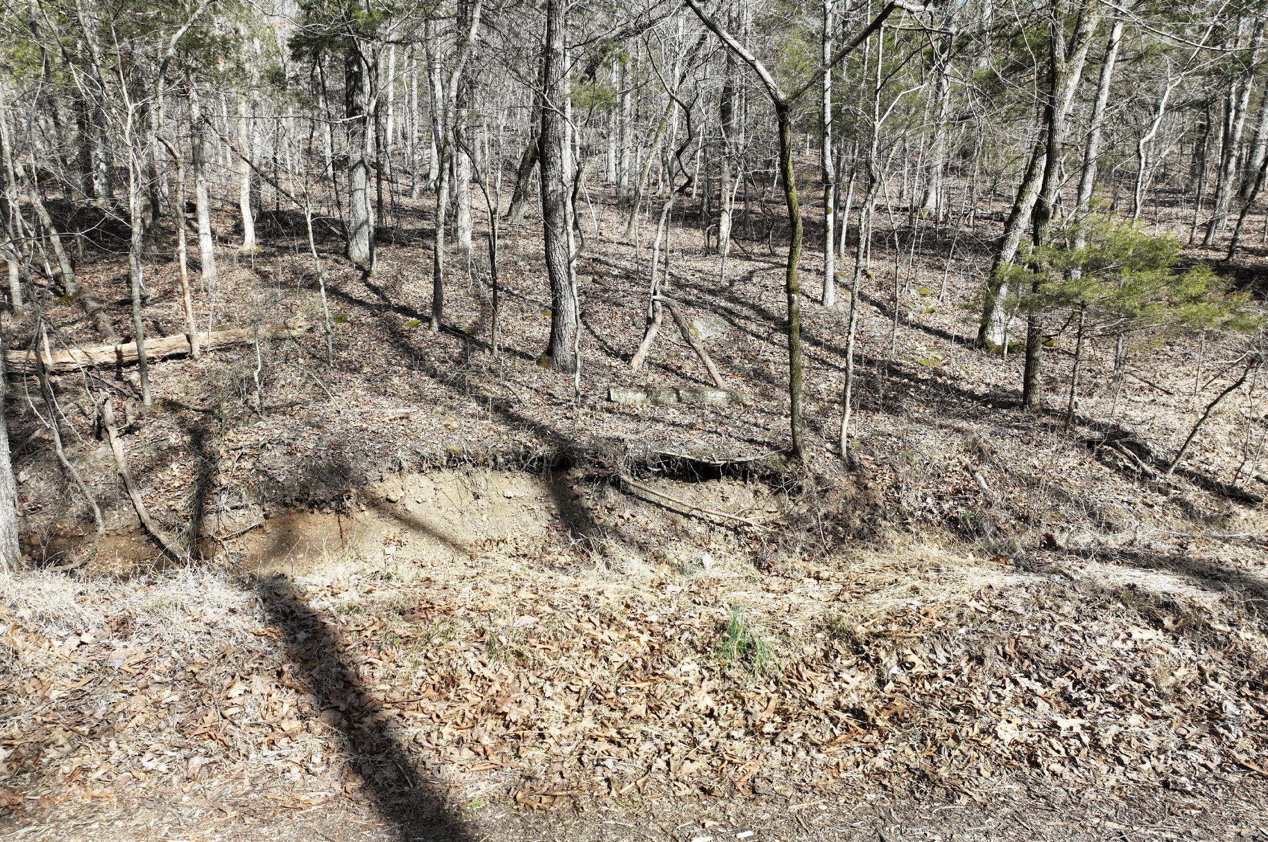 000 Tract 2 Dry Hollow Road Property Photo 6