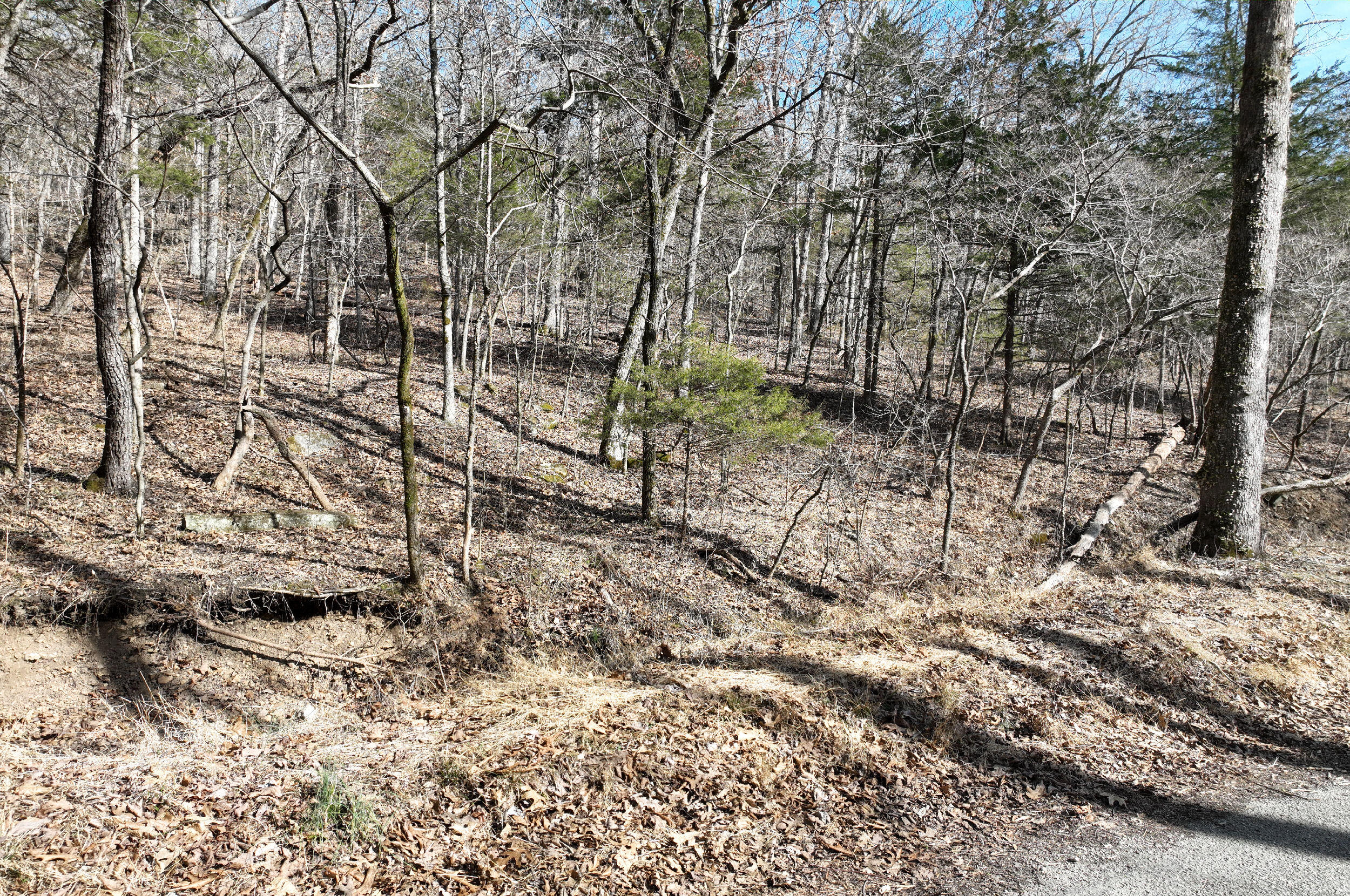 000 Tract 2 Dry Hollow Road Property Photo 7