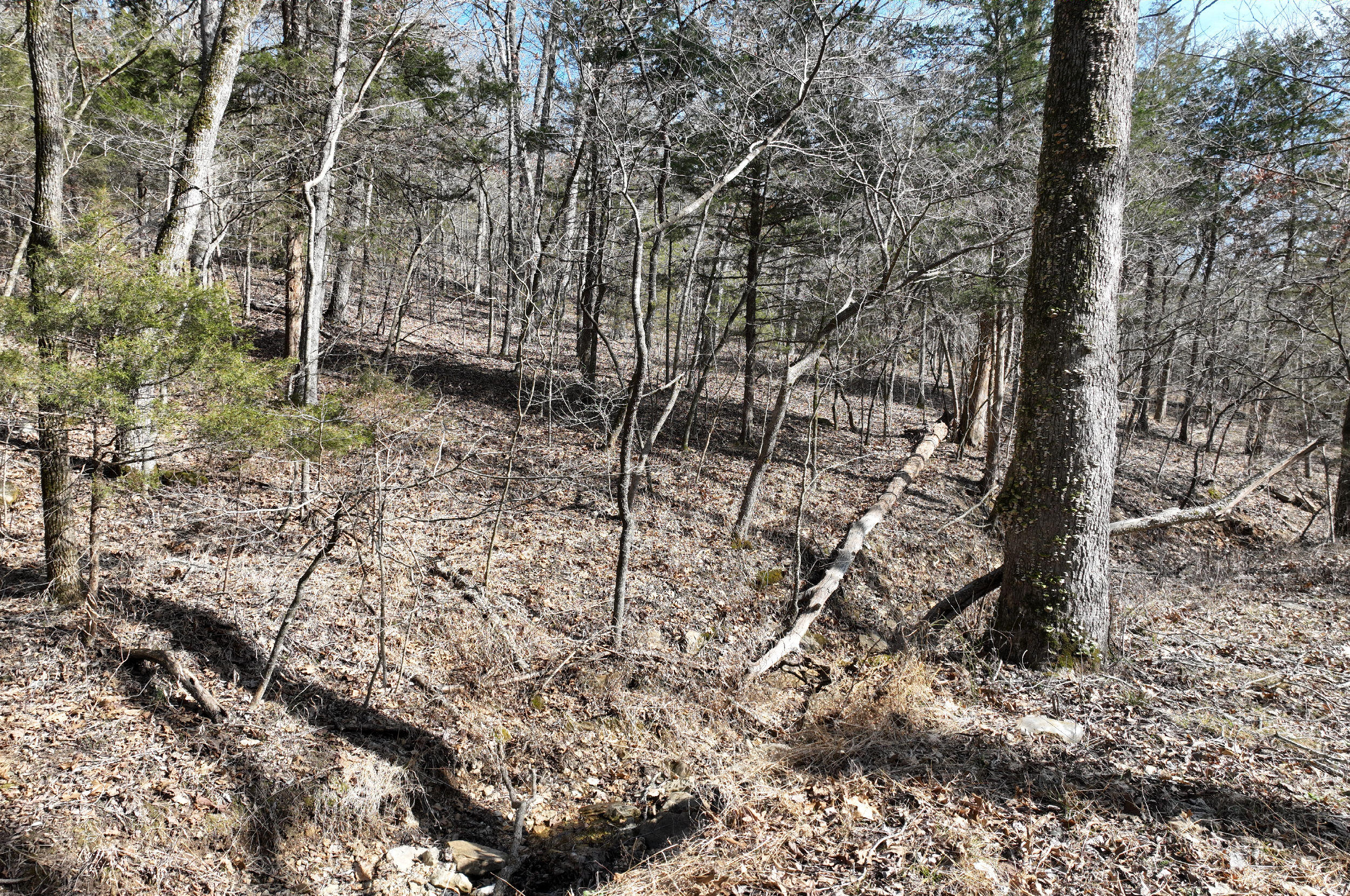 000 Tract 2 Dry Hollow Road Property Photo 8