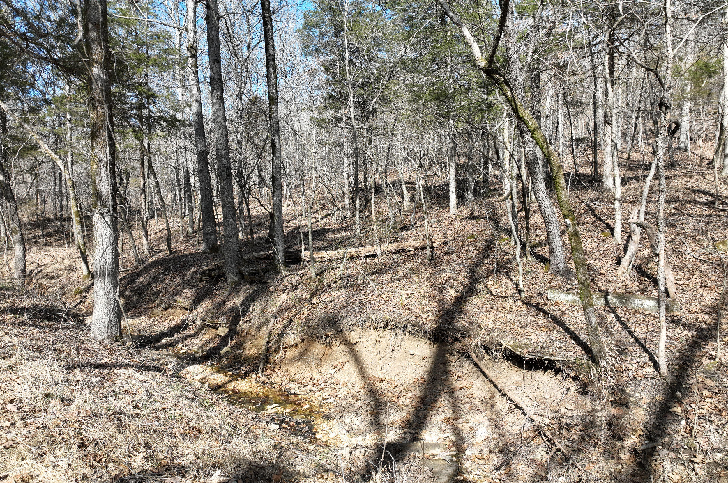 000 Tract 2 Dry Hollow Road Property Photo 9