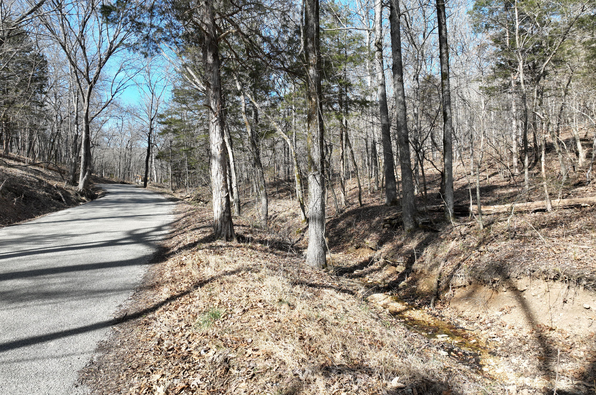 000 Tract 2 Dry Hollow Road Property Photo 10