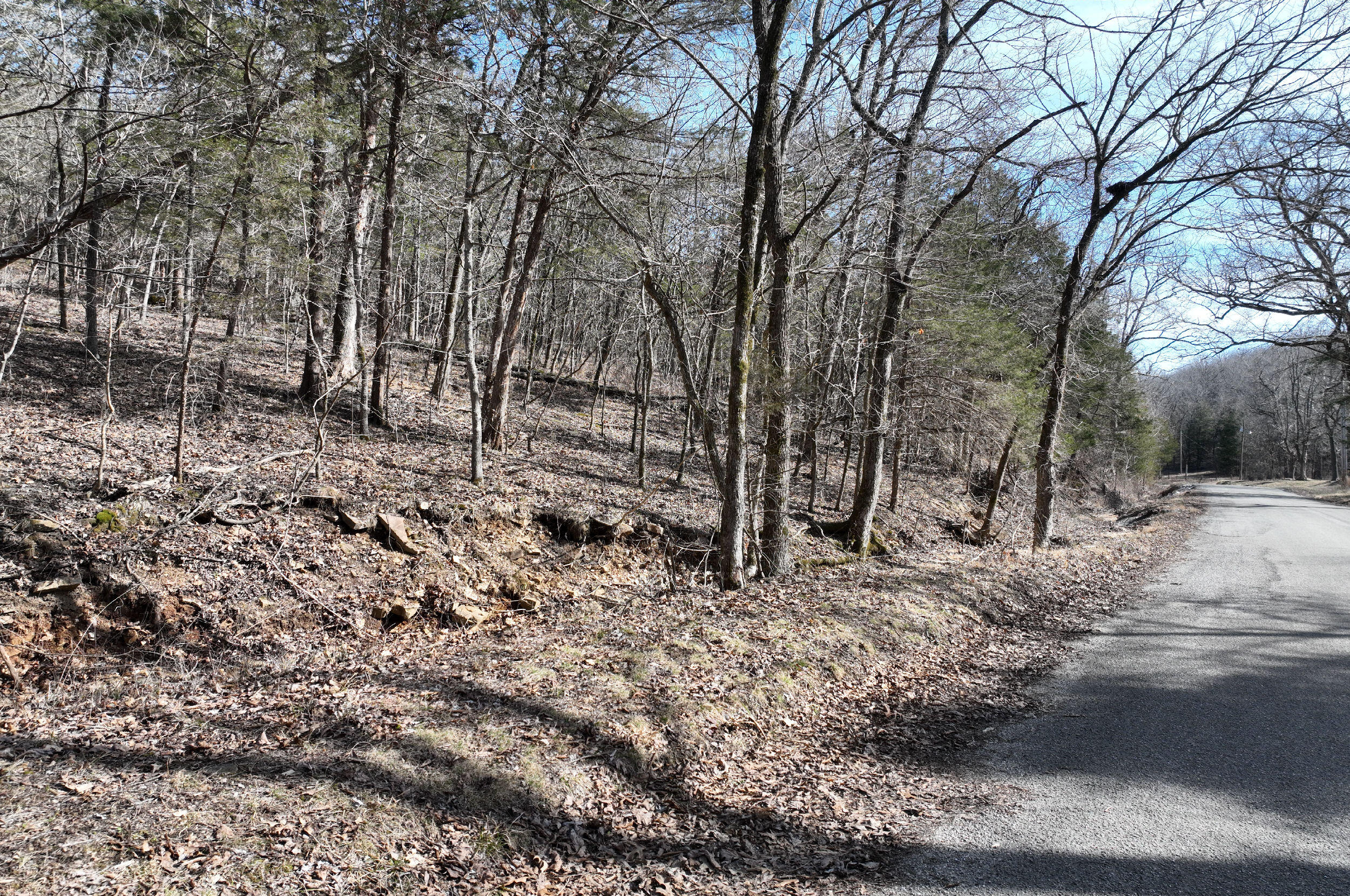 000 Tract 2 Dry Hollow Road Property Photo 11