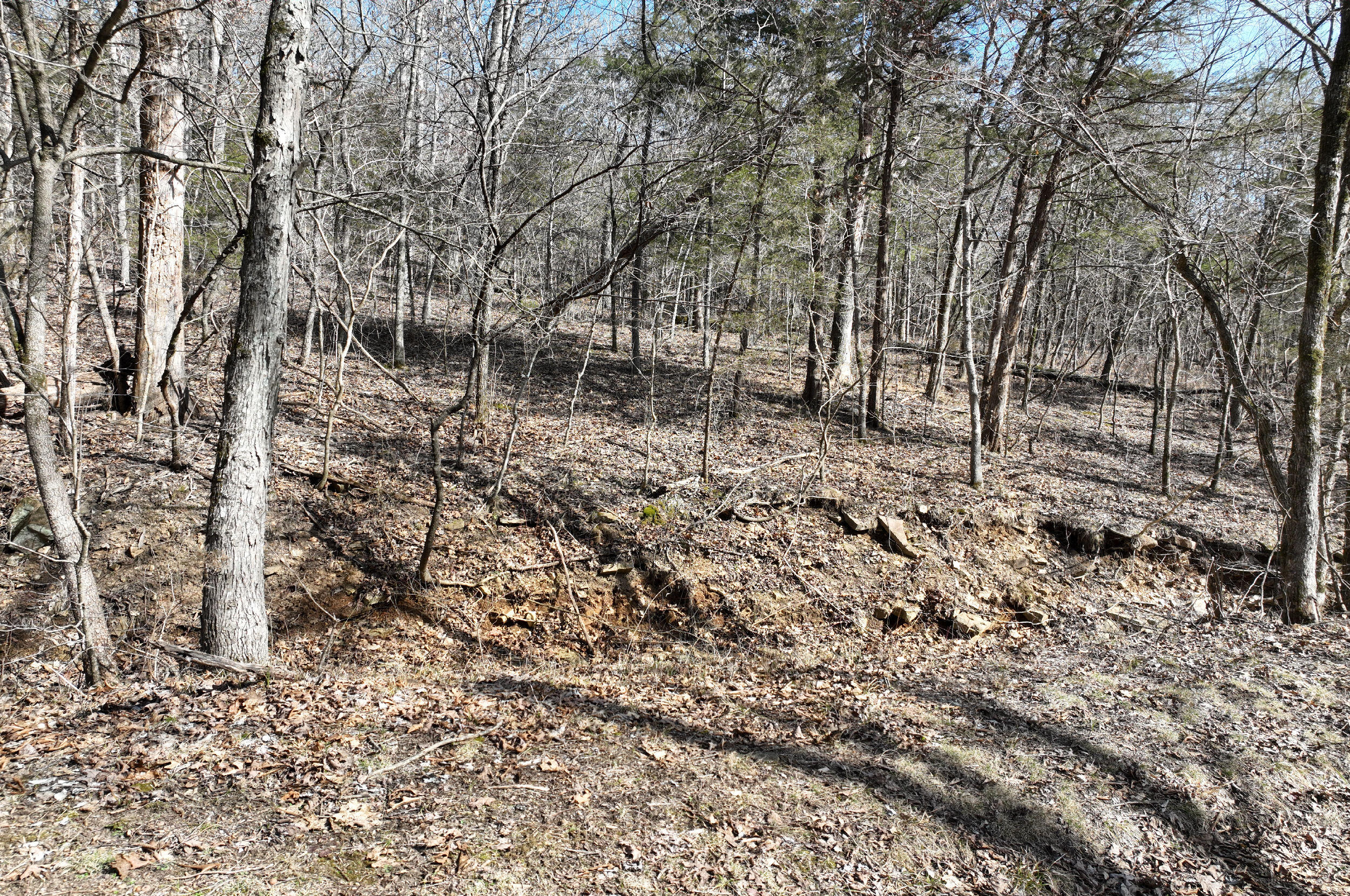 000 Tract 2 Dry Hollow Road Property Photo 12