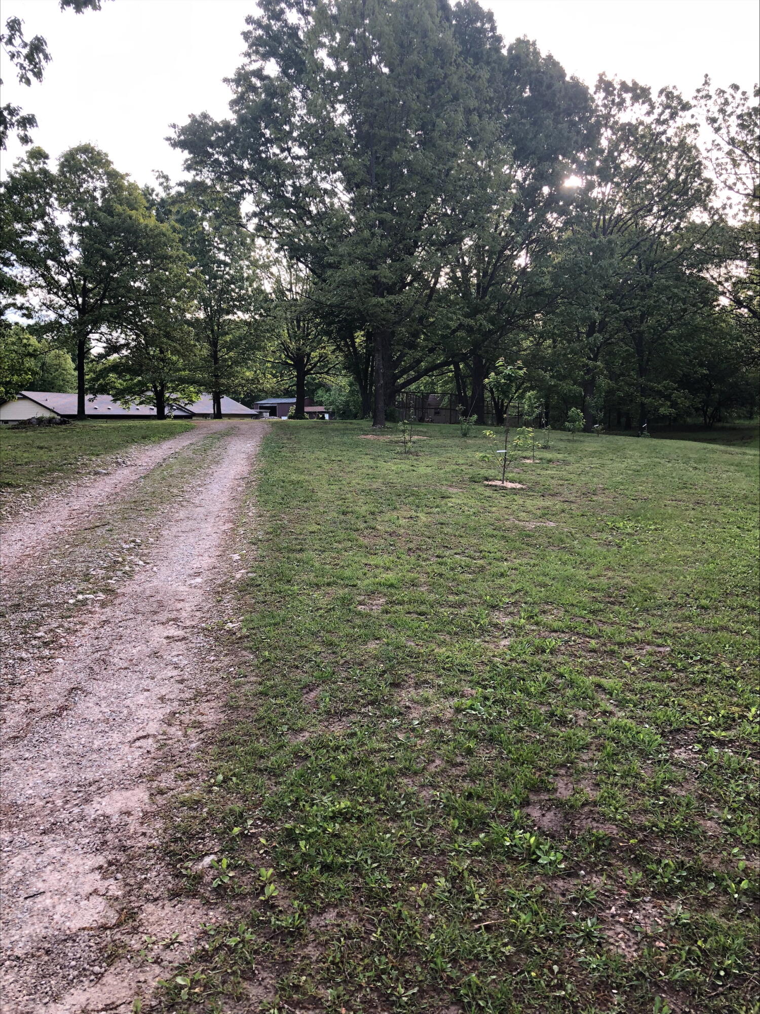 3894 Girlstown Road Property Photo 43