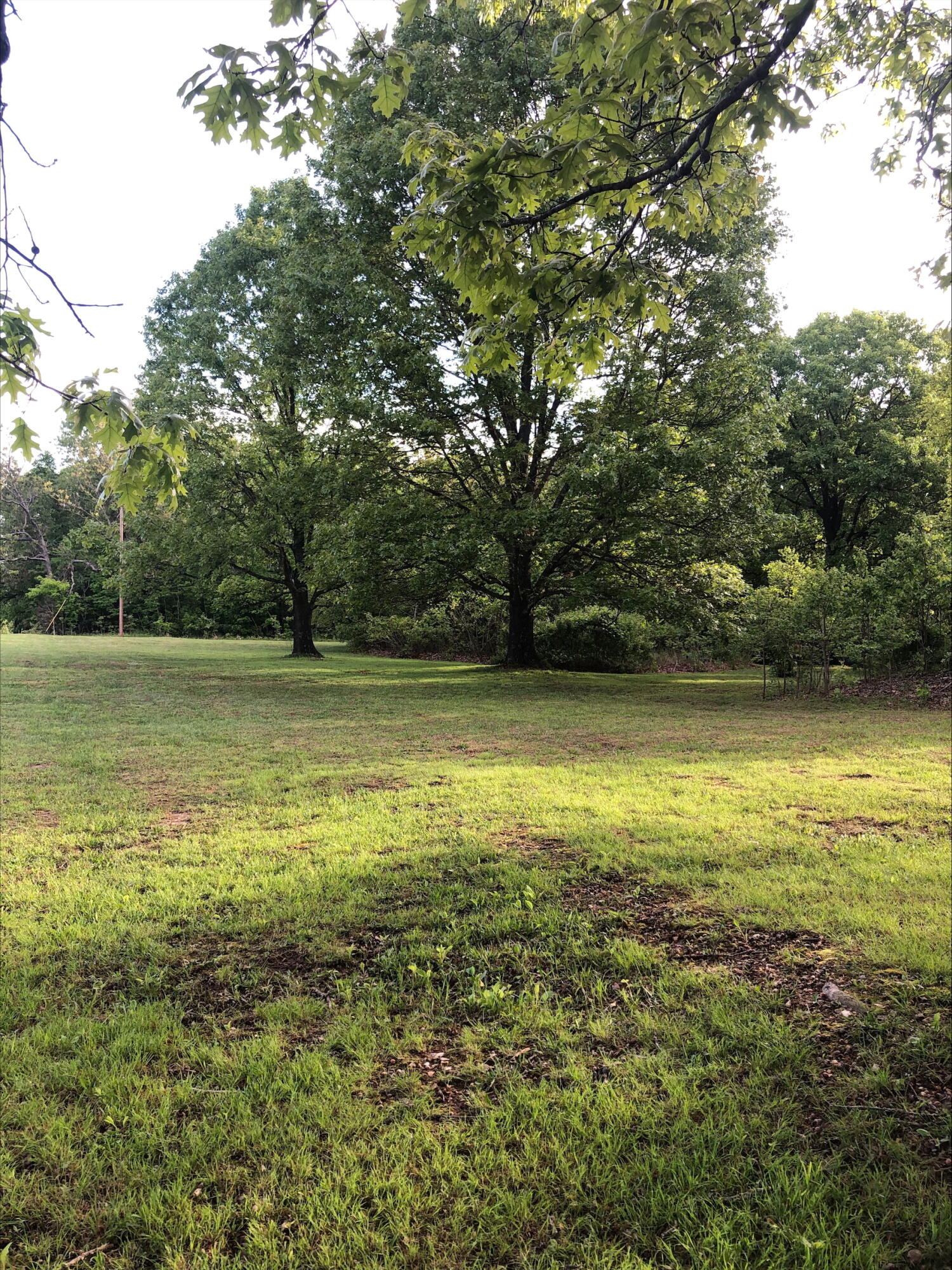 3894 Girlstown Road Property Photo 45