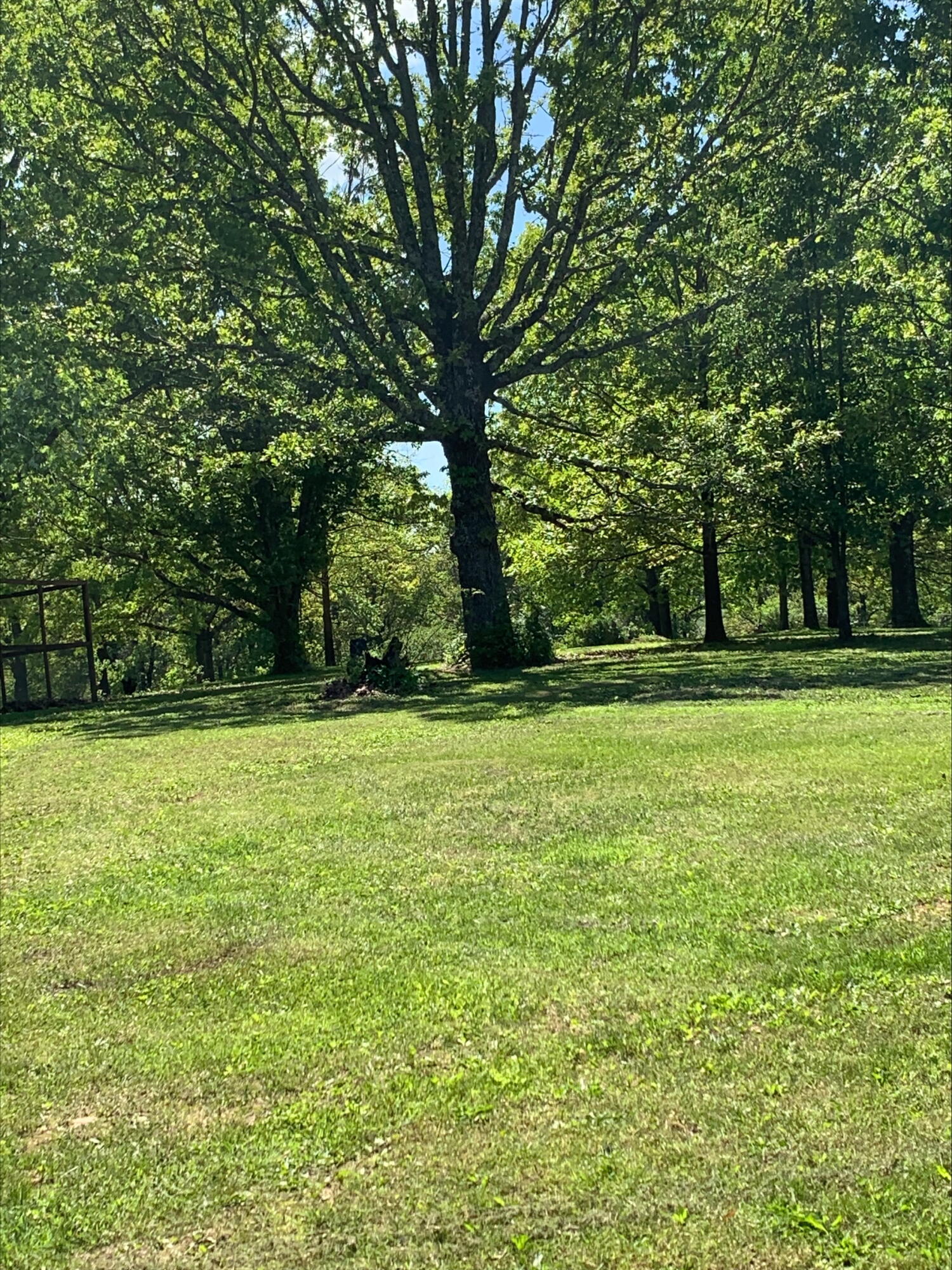 3894 Girlstown Road Property Photo 49