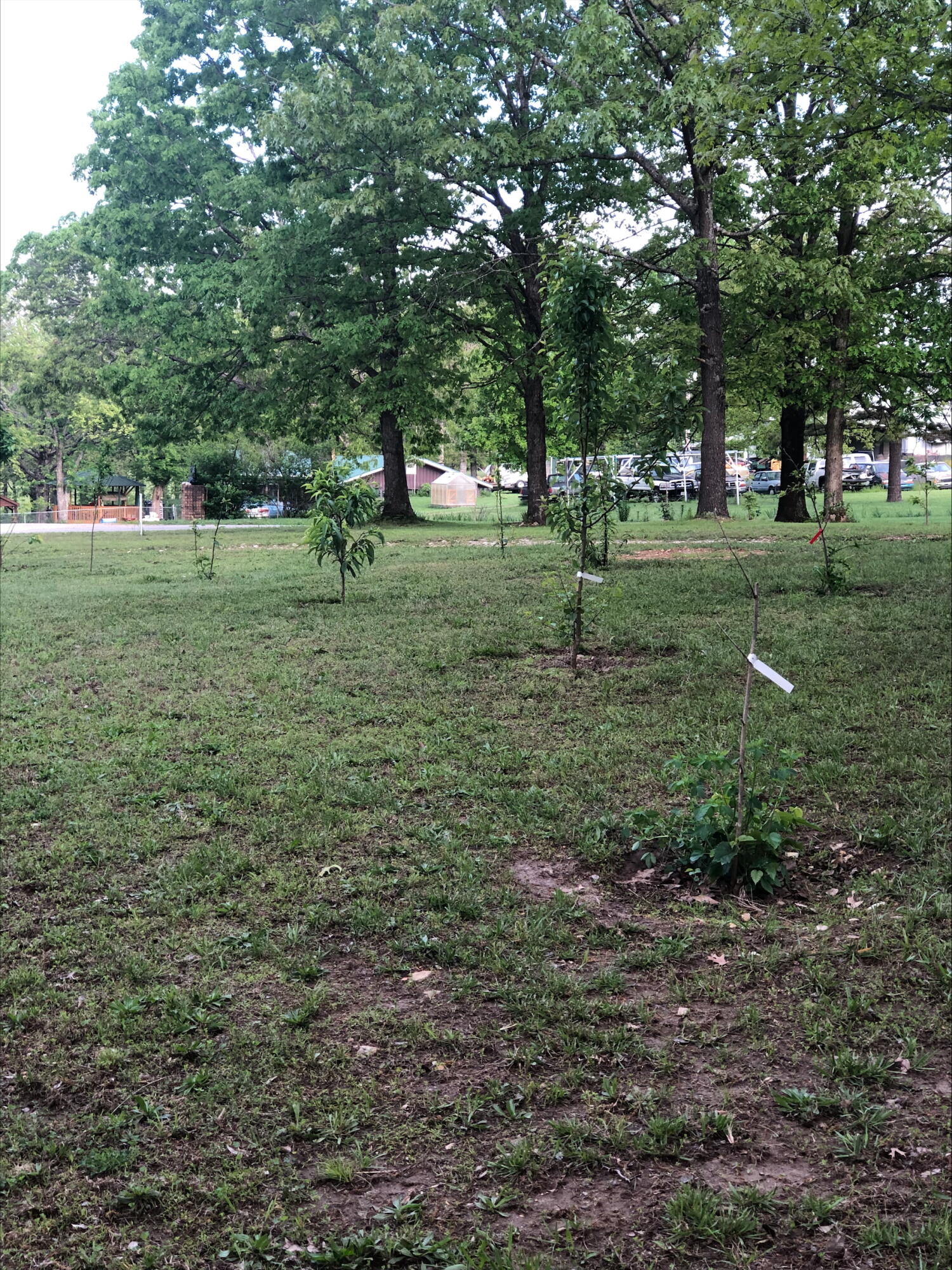 3894 Girlstown Road Property Photo 52