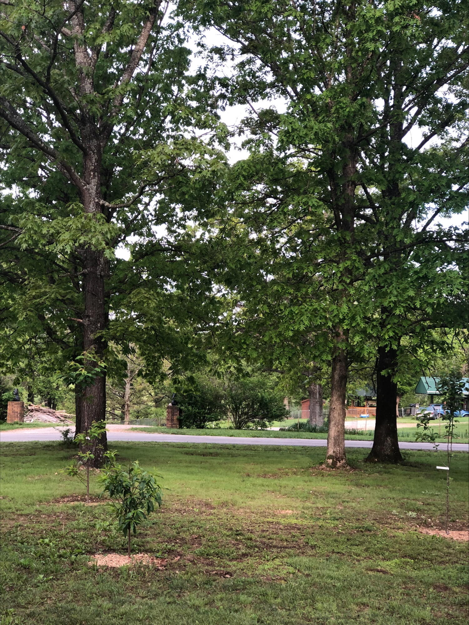 3894 Girlstown Road Property Photo 54