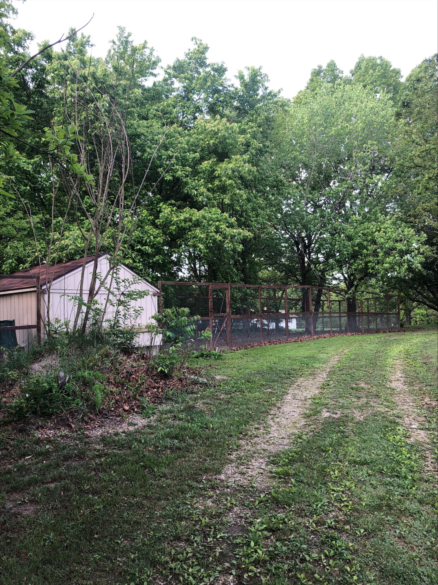 3894 Girlstown Road Property Photo 67