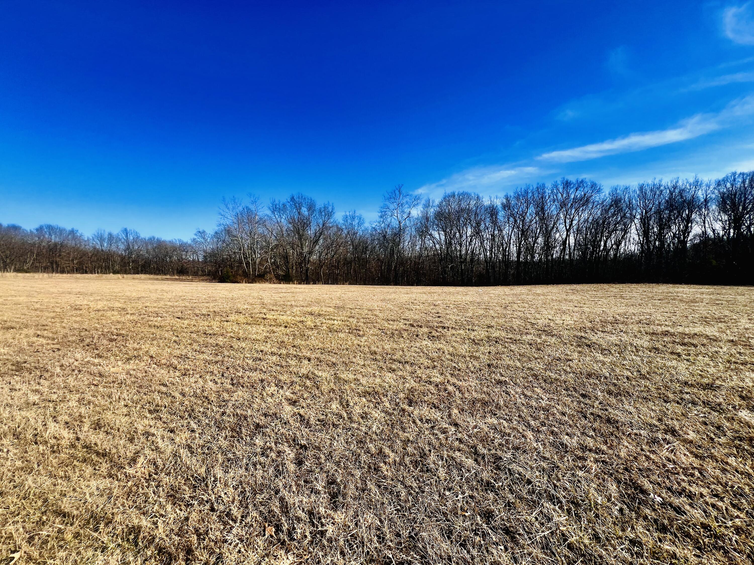 Success Real Estate Listings Main Image