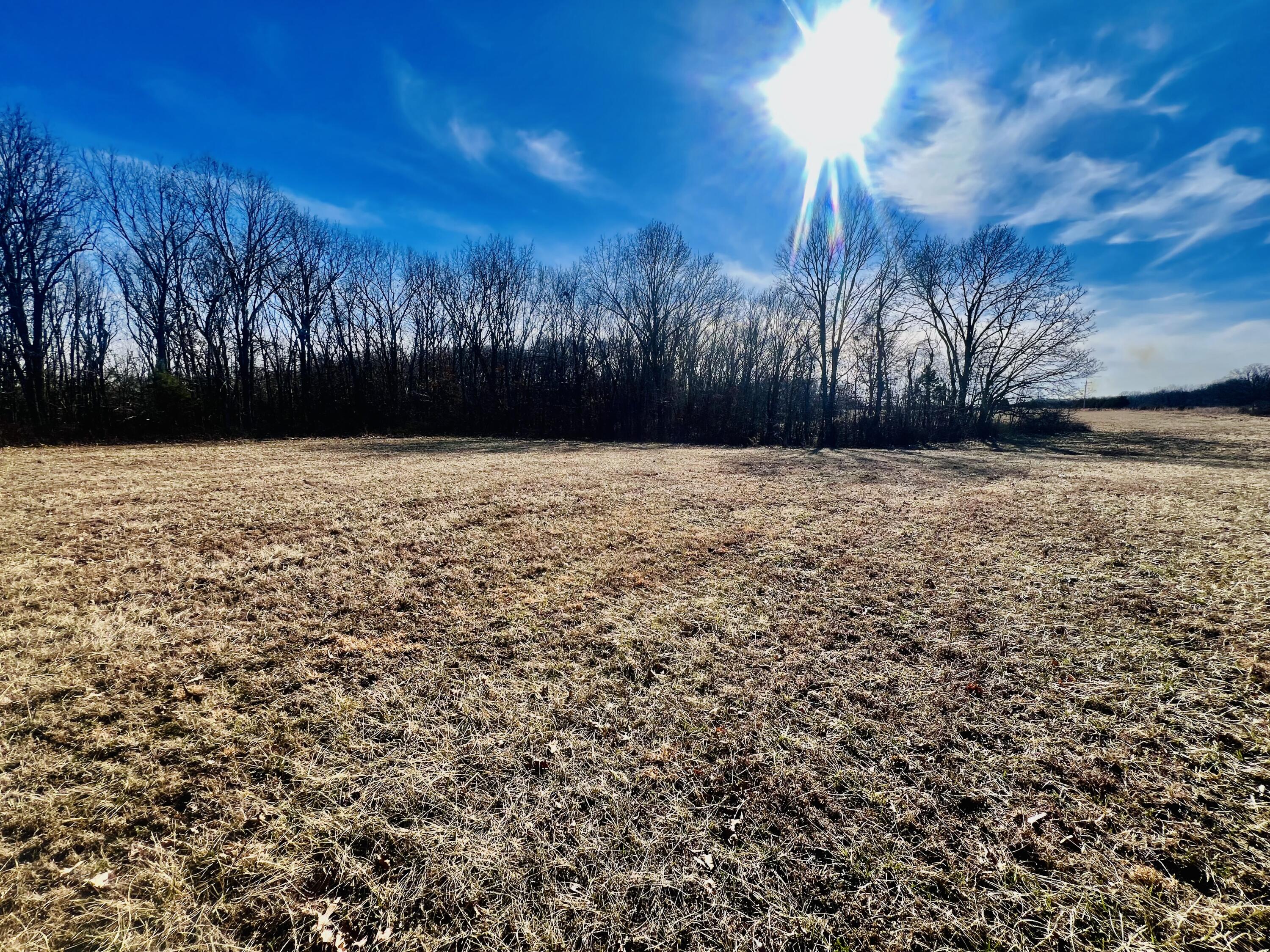 000 Highway M Success Property Photo 3