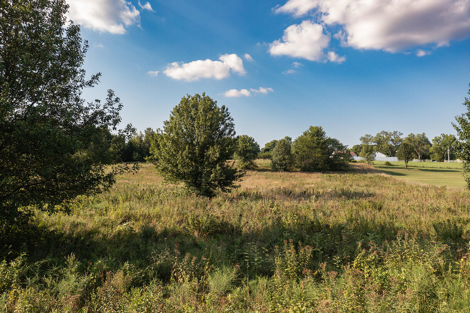 000 West Hickory Ridge Drive Property Photo 15