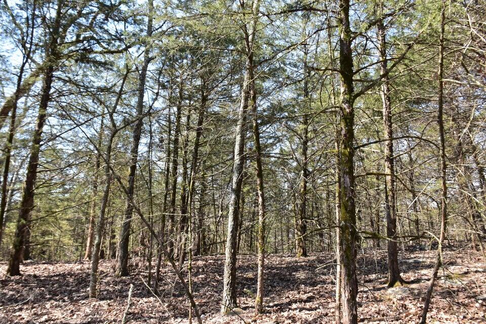 000 Us Highway 65 Property Photo