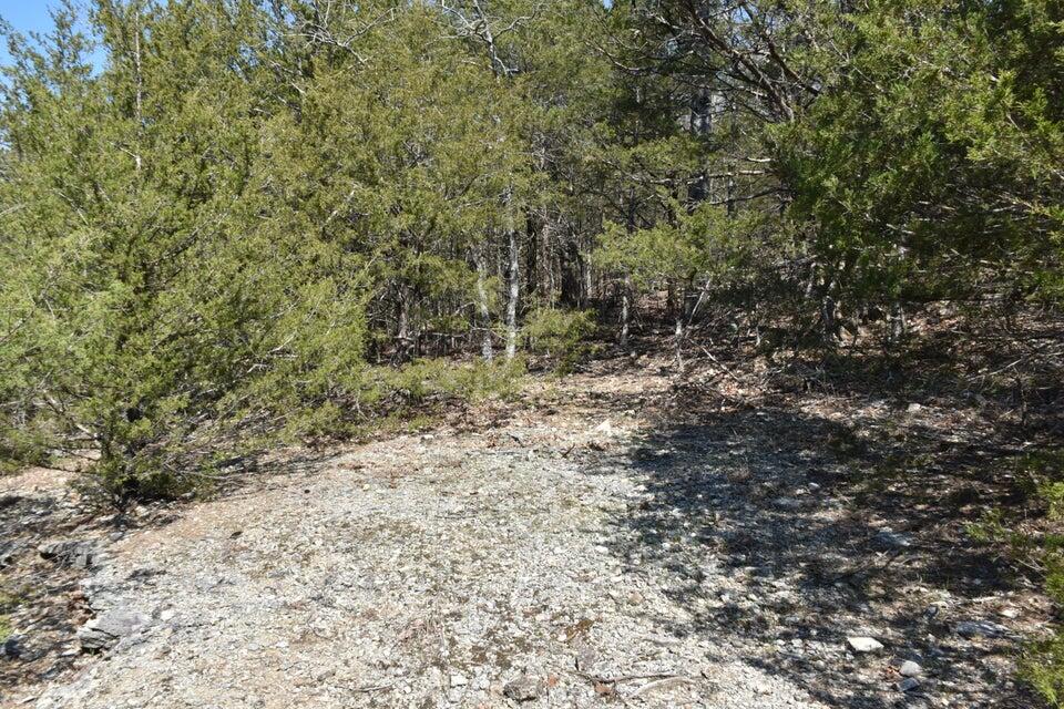 000 Us Highway 65 Property Photo 2