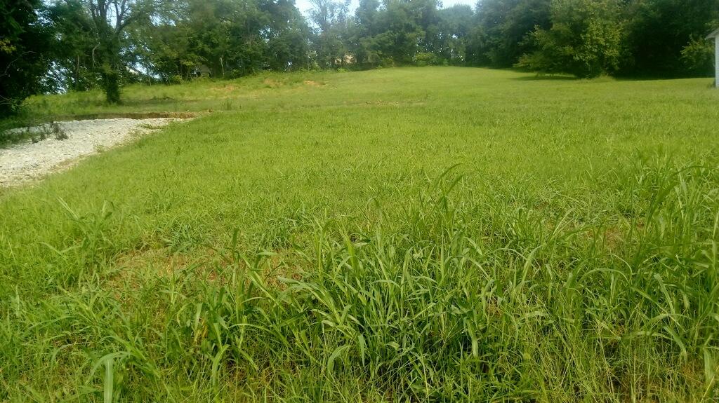 1058 Lincoln Avenue Property Photo 6